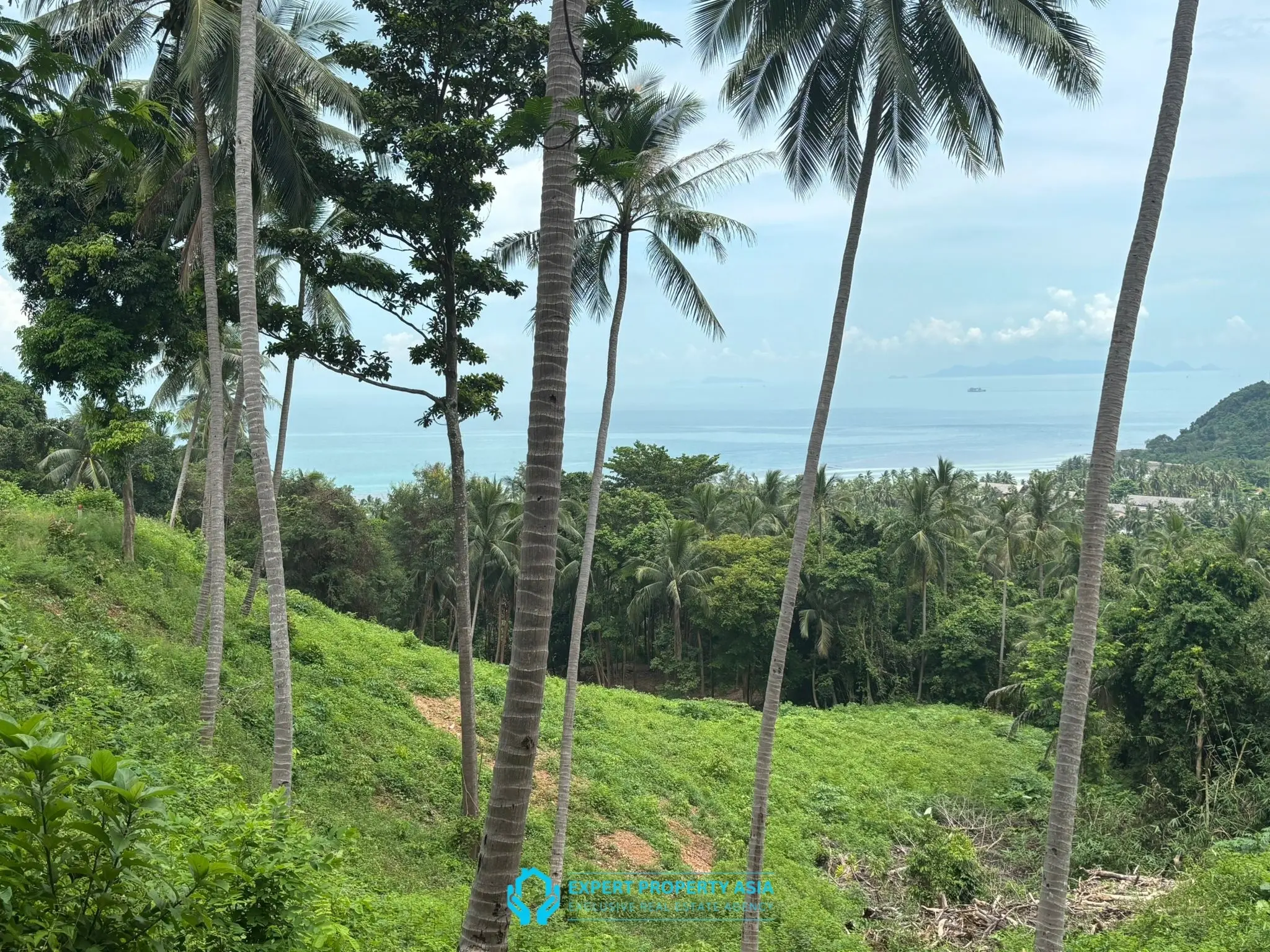 Rare Investment Opportunity – 6 Rai Sea View Land, Laem Yai, Koh Samui