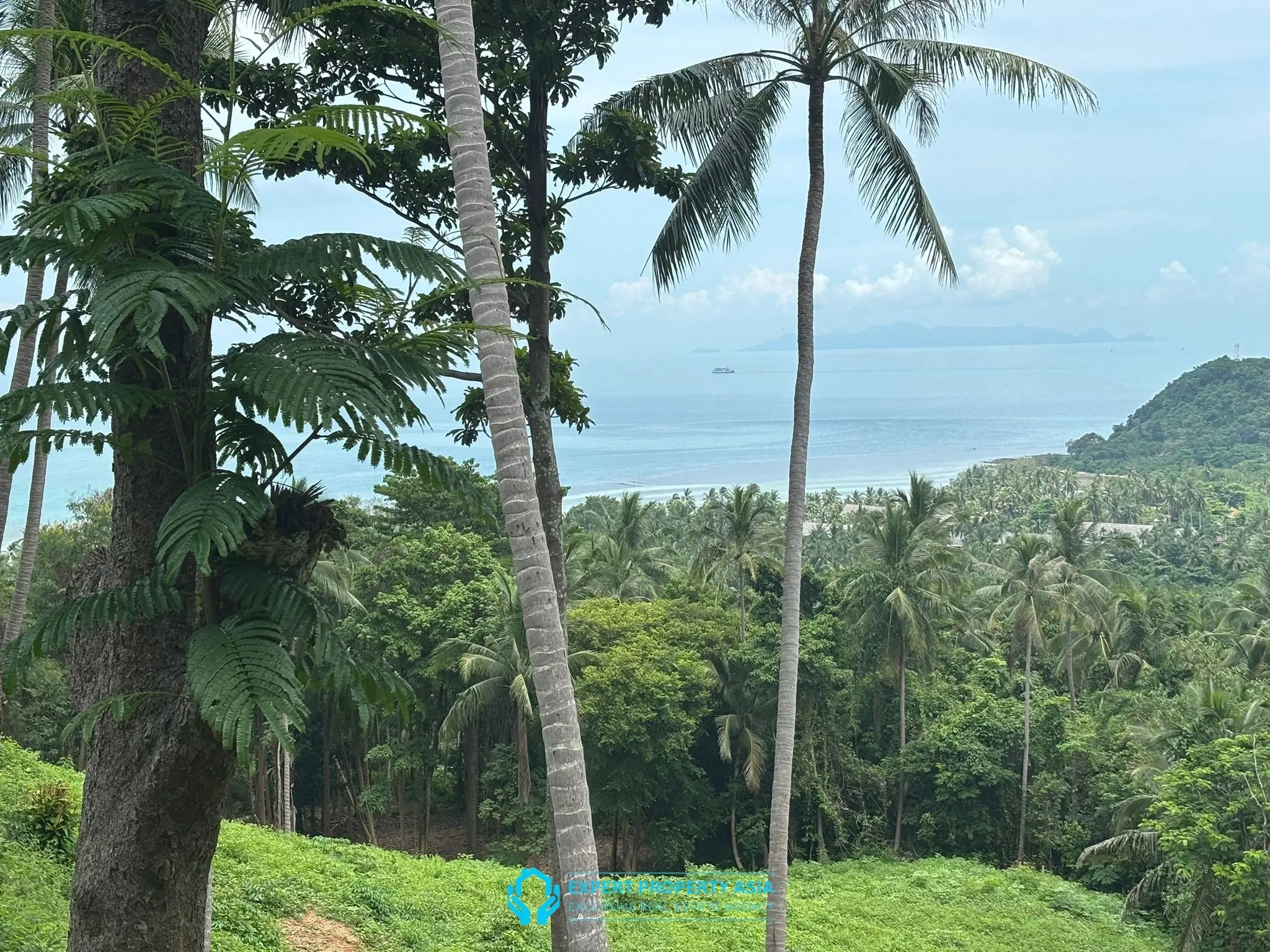 Rare Investment Opportunity – 6 Rai Sea View Land, Laem Yai, Koh Samui