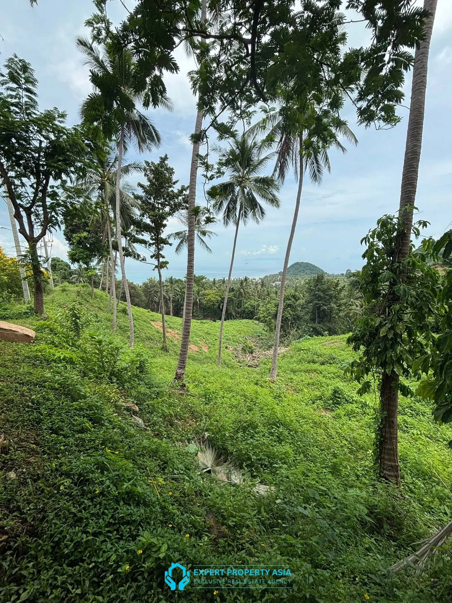 Rare Investment Opportunity – 6 Rai Sea View Land, Laem Yai, Koh Samui