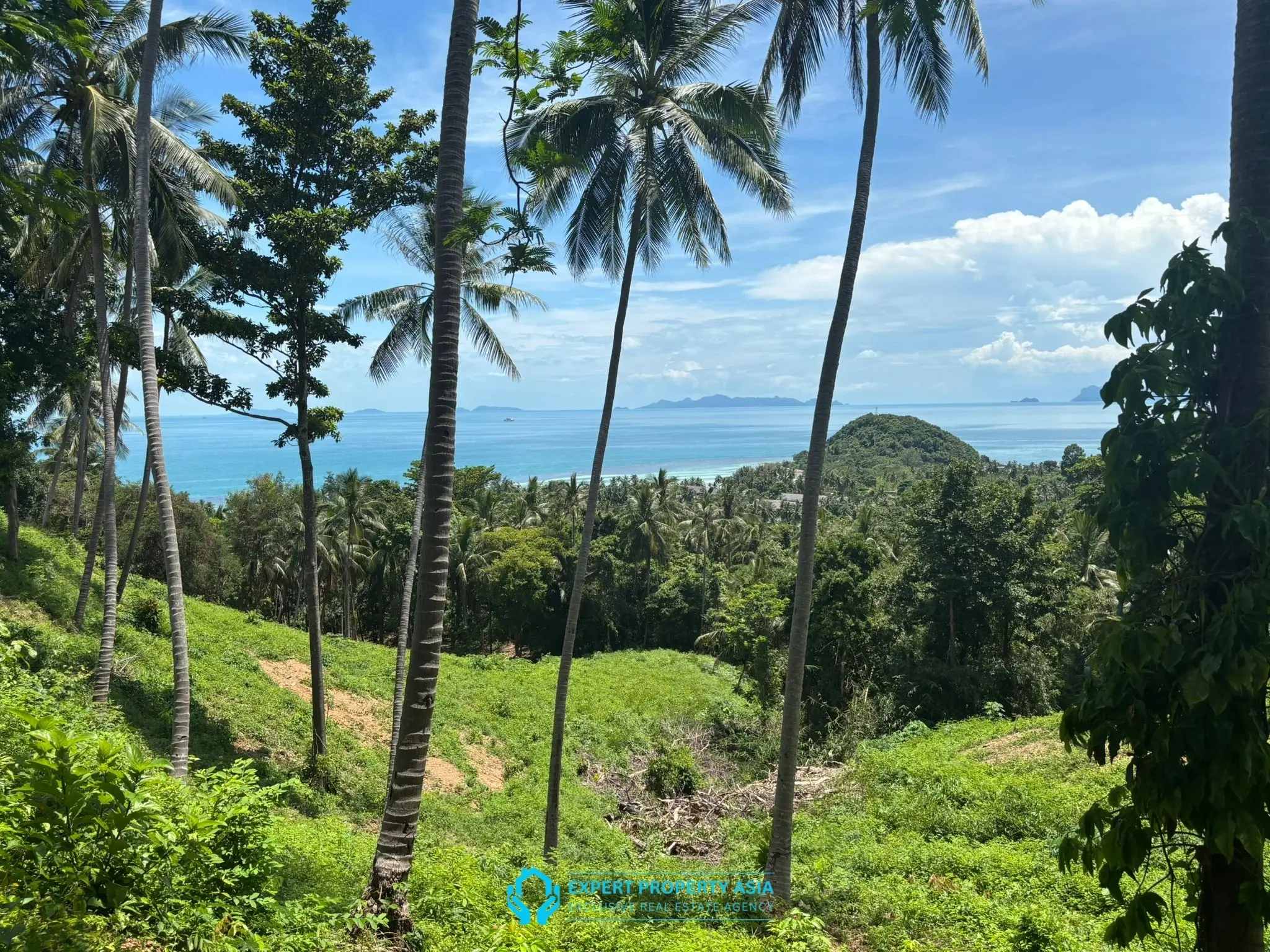 Rare Investment Opportunity – 6 Rai Sea View Land, Laem Yai, Koh Samui