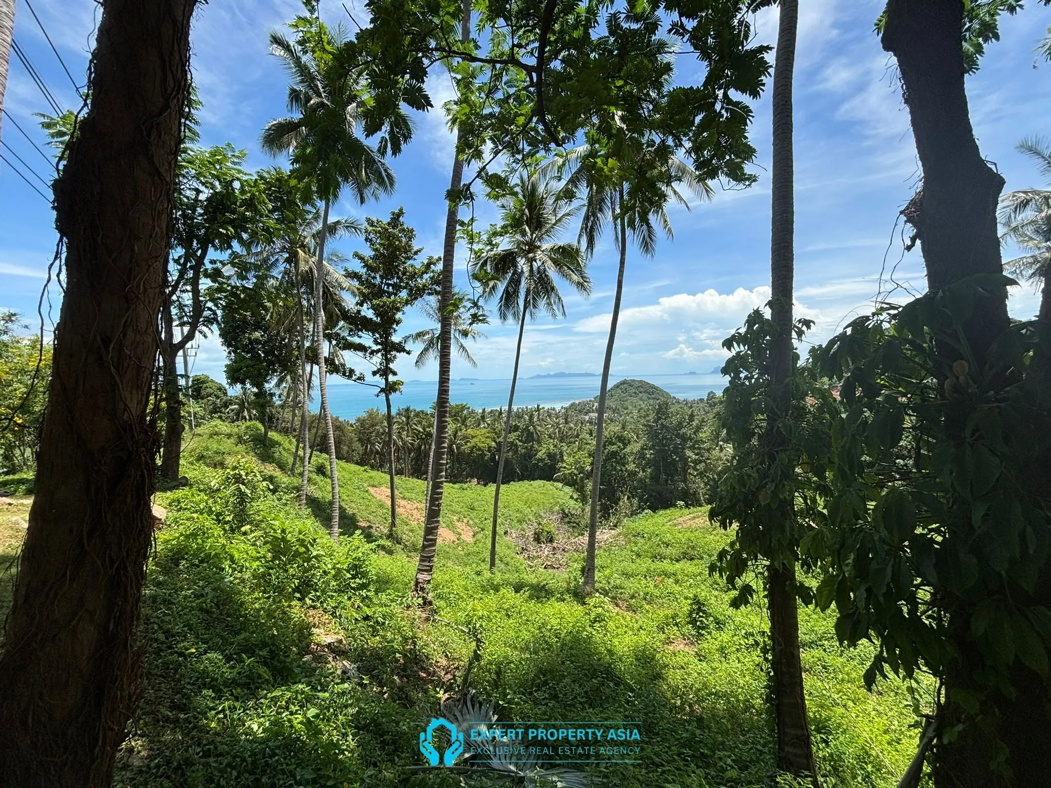 Rare Investment Opportunity – 6 Rai Sea View Land, Laem Yai, Koh Samui