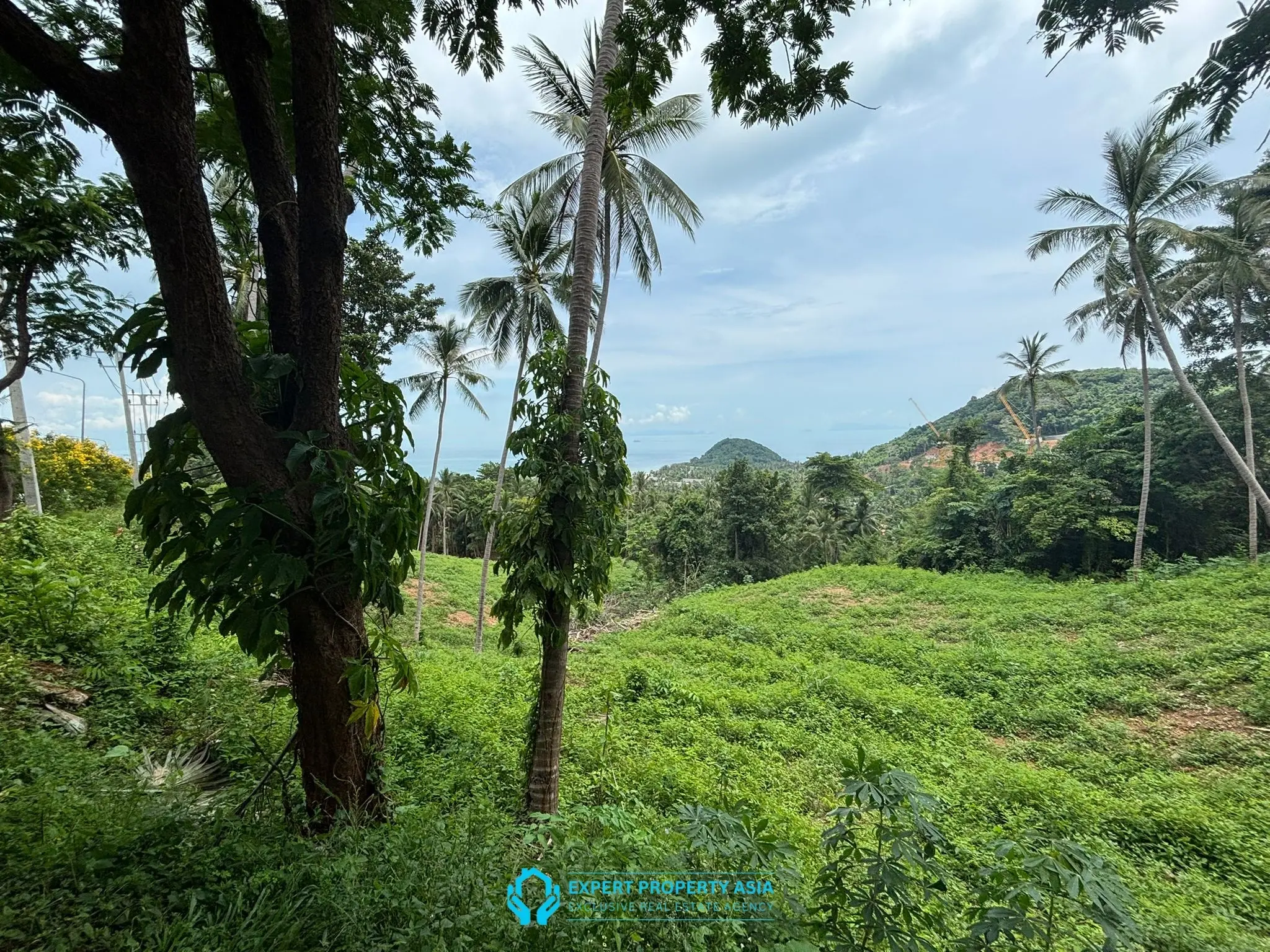 Rare Investment Opportunity – 6 Rai Sea View Land, Laem Yai, Koh Samui