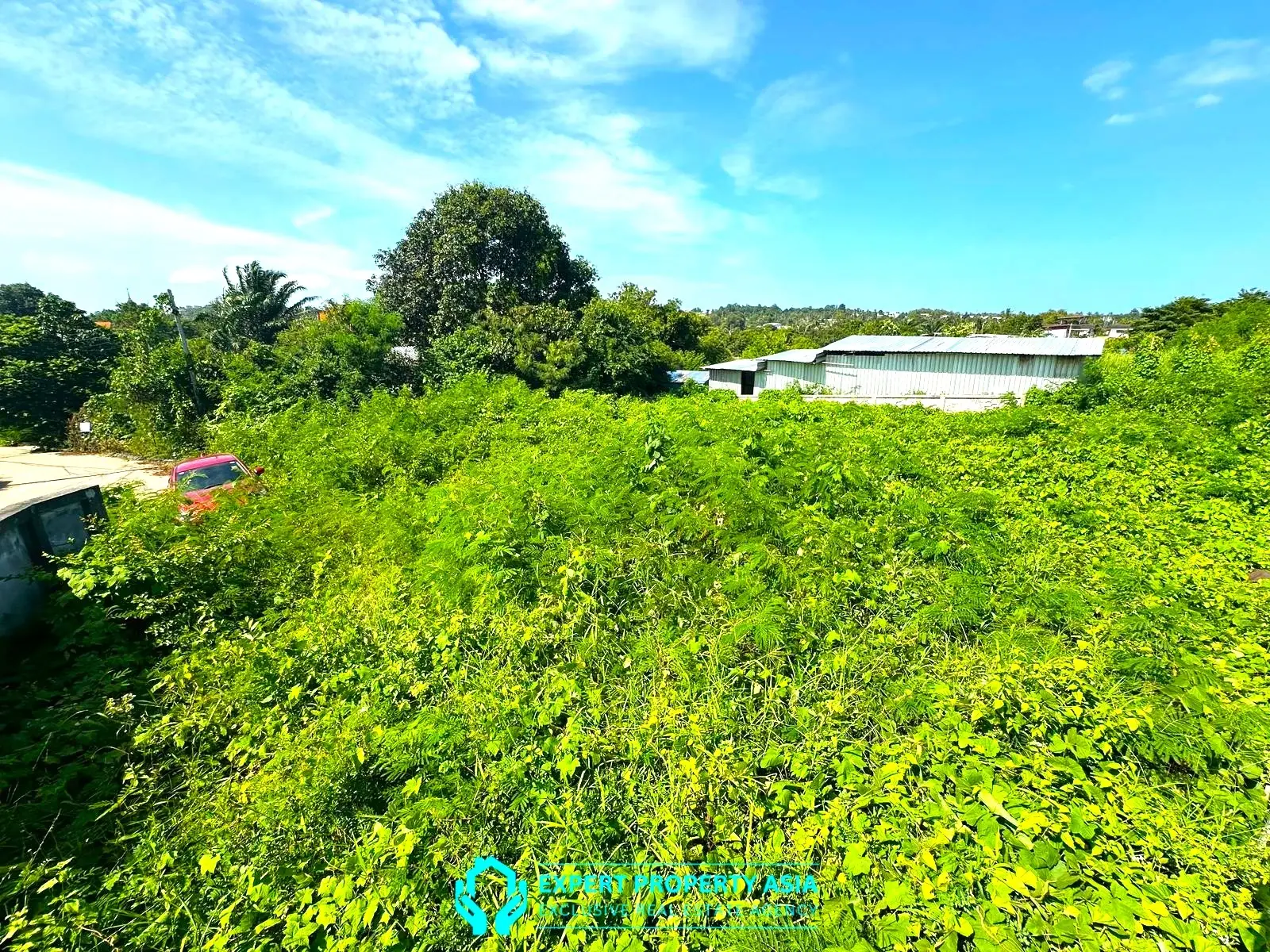 Investment Land for Sale – Flat 800 SQM Plot in Premium Samui Area
