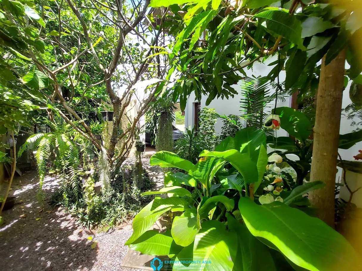 Exclusive 5-Bedroom Pool Villa Just Steps from Plai Laem Beach | Long-Term Rental