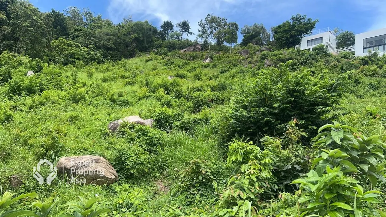 待售：查汶诺美丽的3莱土地