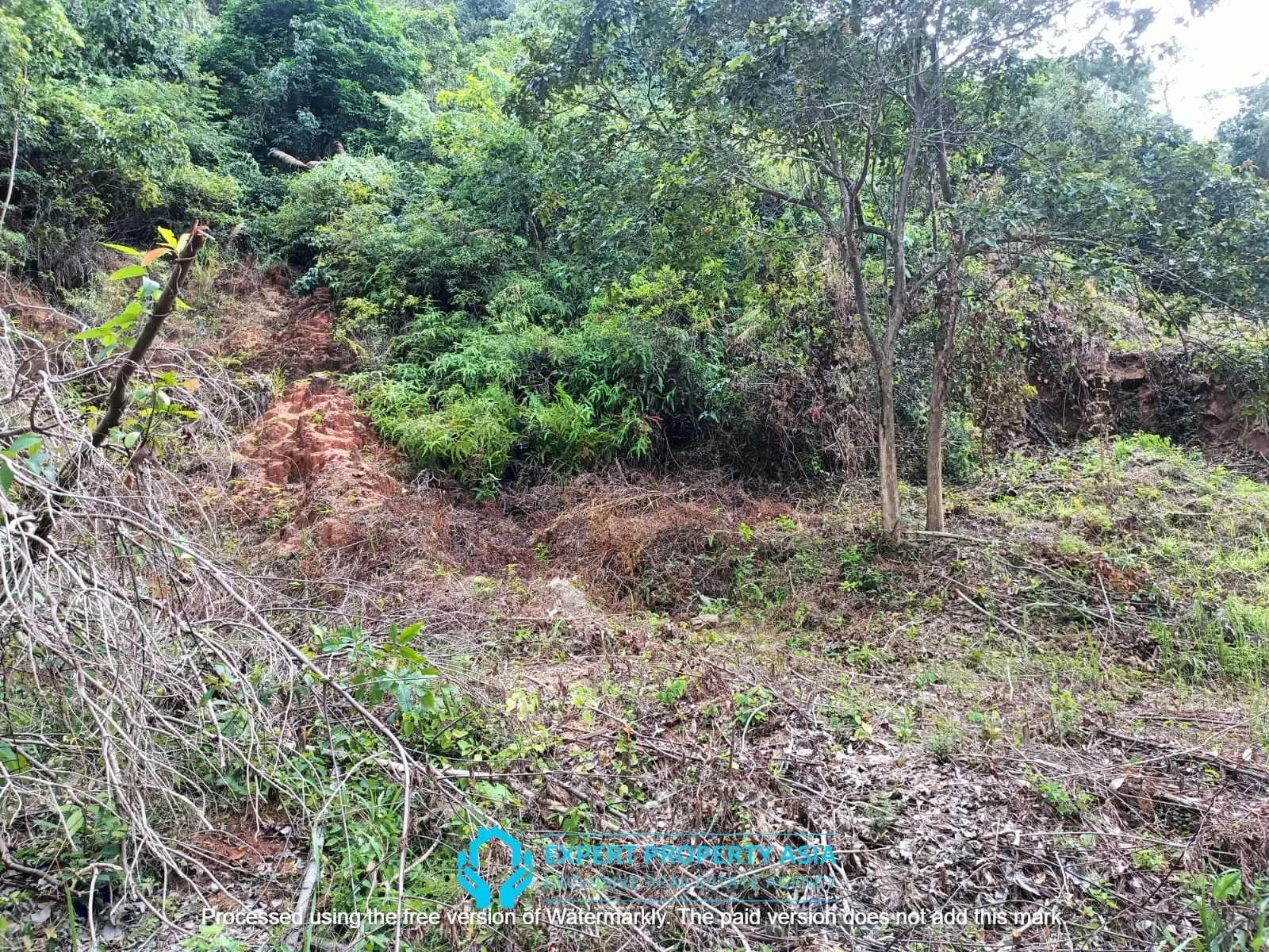 “Sea View Plots in Lamai, Koh Samui – Ideal for Villa Development”