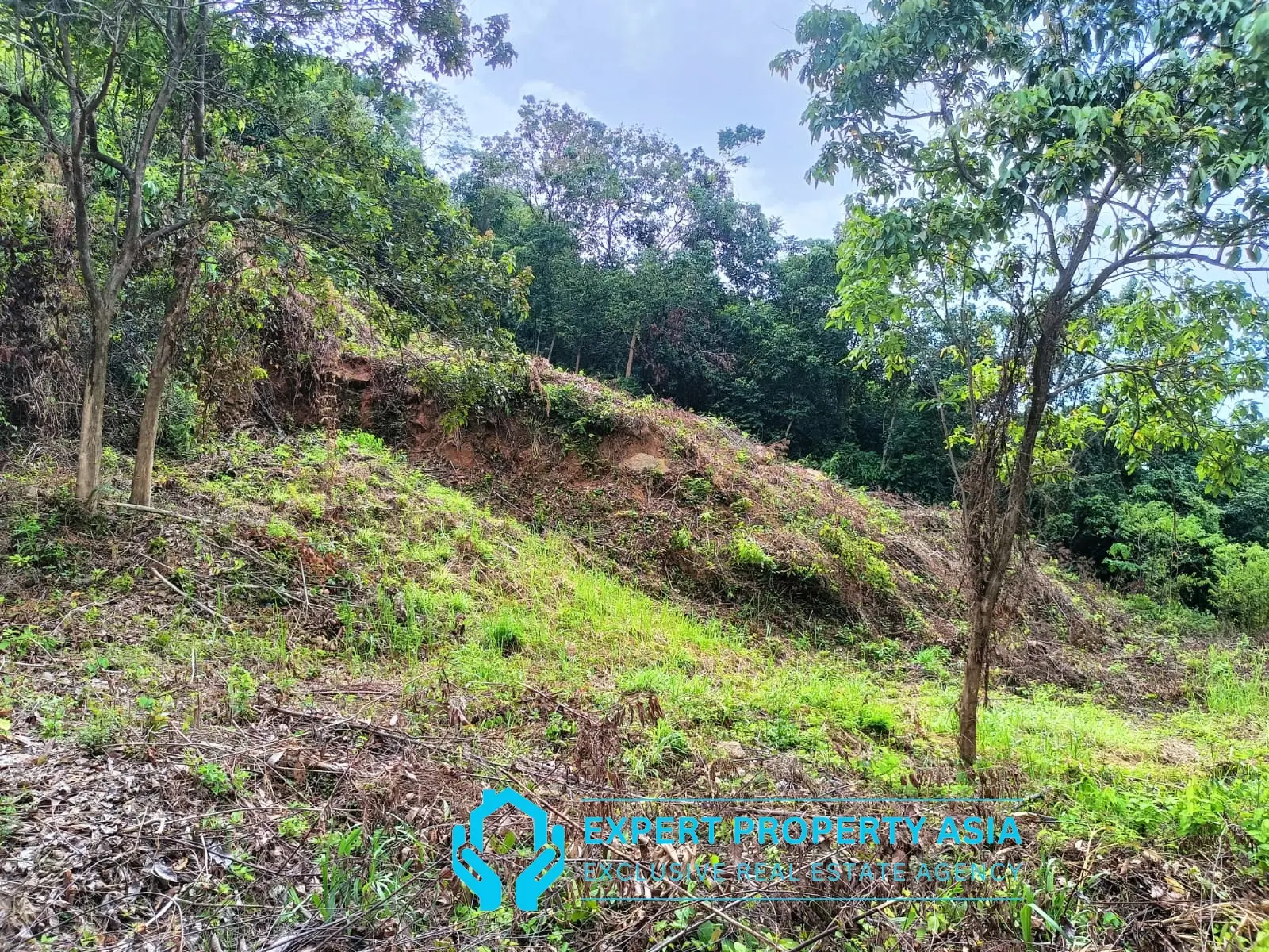 “Sea View Plots in Lamai, Koh Samui – Ideal for Villa Development”