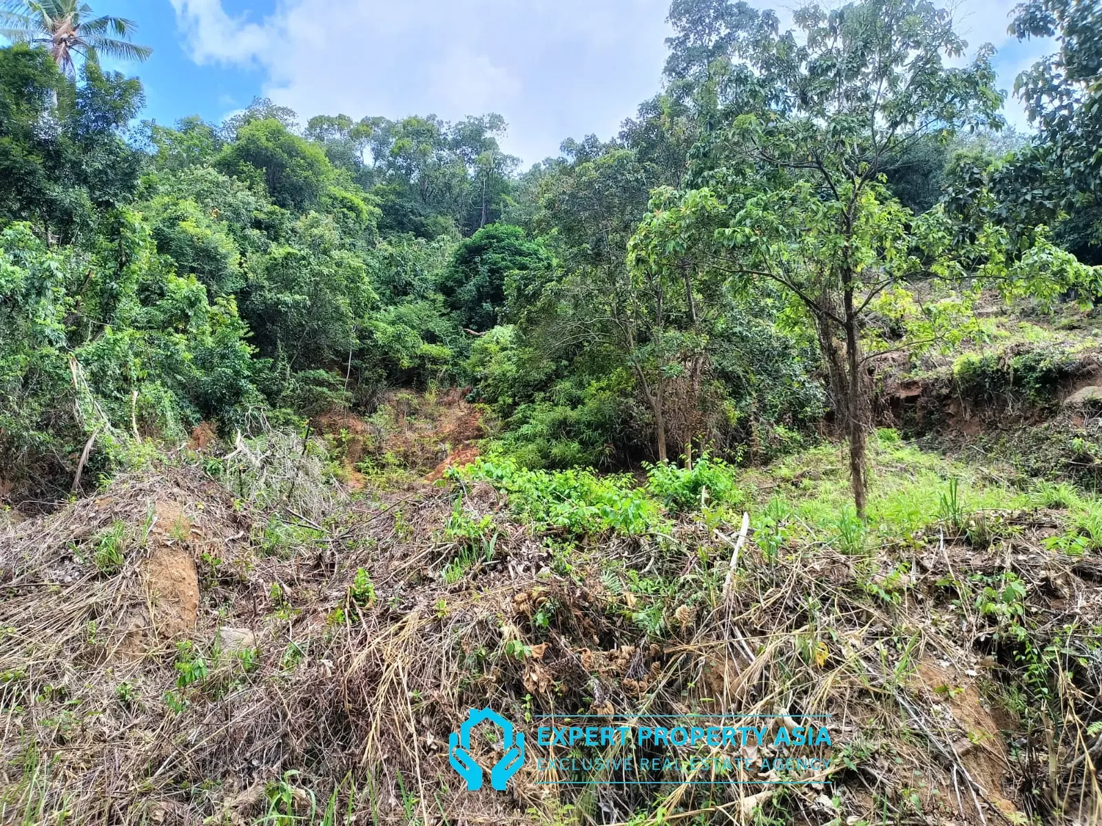 “Sea View Plots in Lamai, Koh Samui – Ideal for Villa Development”