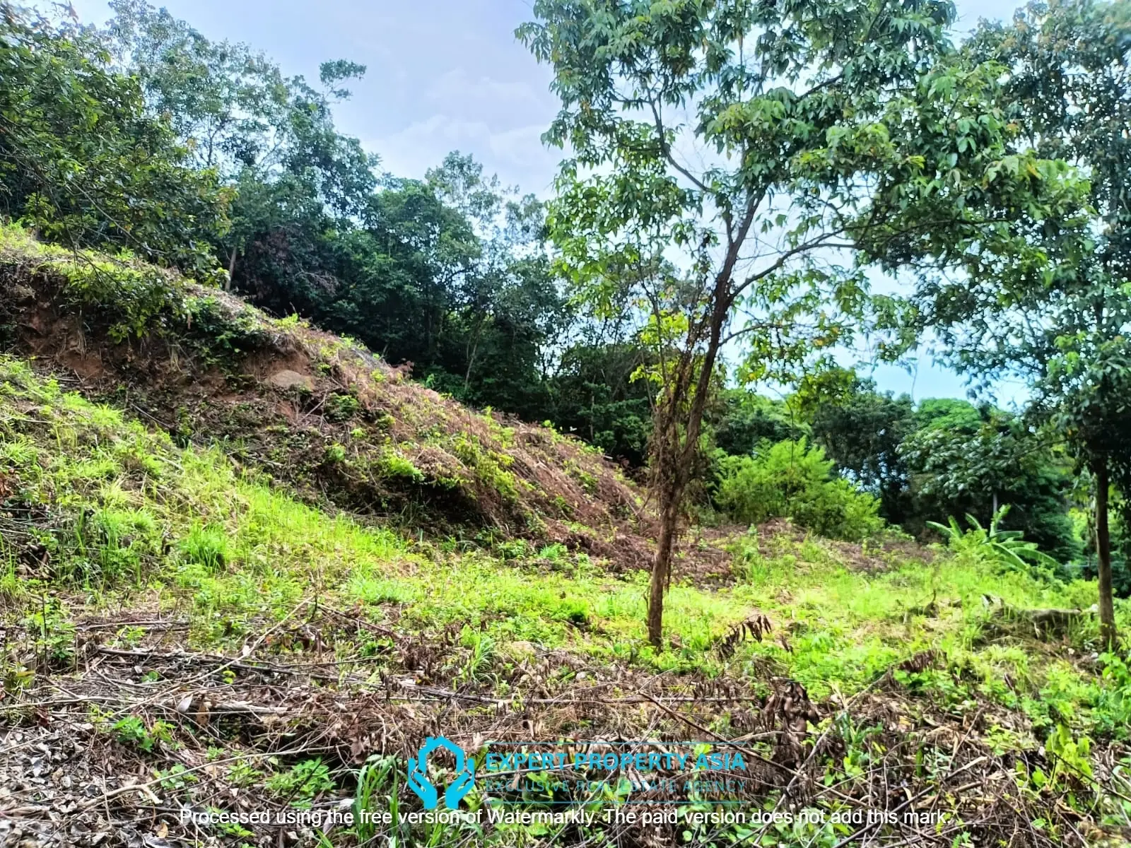 “Sea View Plots in Lamai, Koh Samui – Ideal for Villa Development”