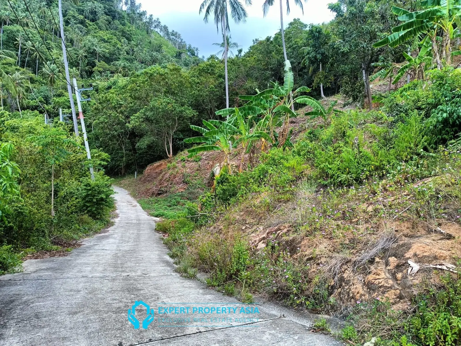 “Sea View Plots in Lamai, Koh Samui – Ideal for Villa Development”