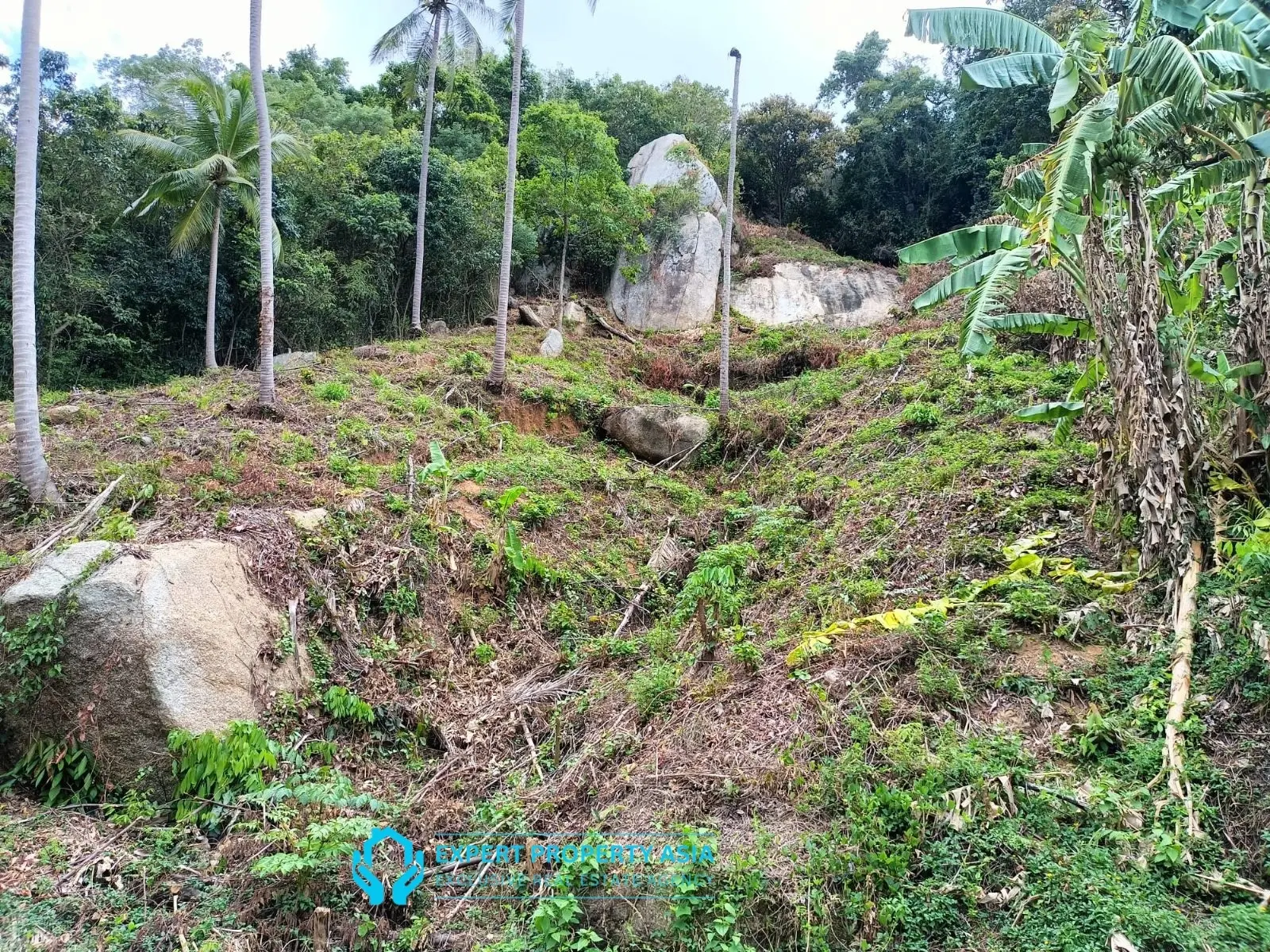 “Sea View Plots in Lamai, Koh Samui – Ideal for Villa Development”