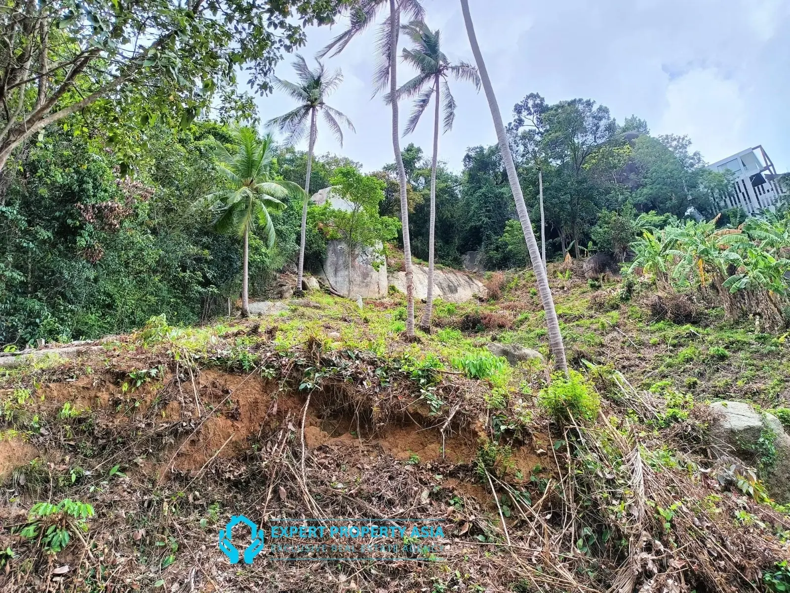“Sea View Plots in Lamai, Koh Samui – Ideal for Villa Development”