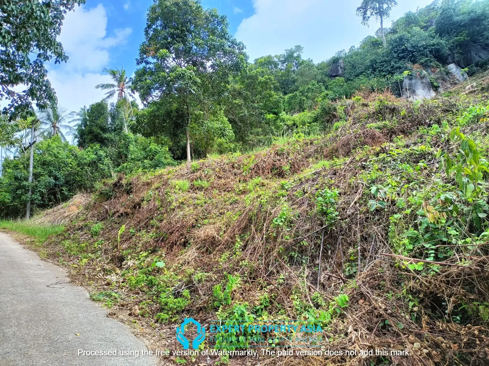“Sea View Plots in Lamai, Koh Samui – Ideal for Villa Development”