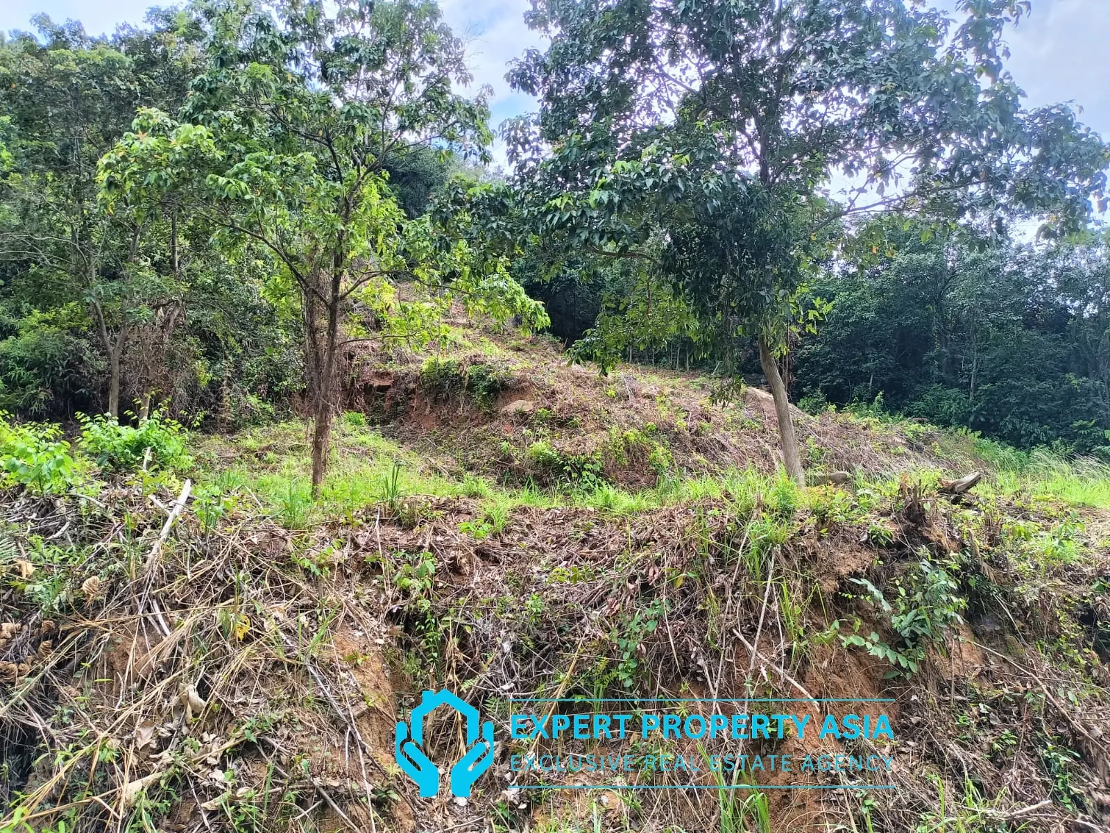 “Sea View Plots in Lamai, Koh Samui – Ideal for Villa Development”