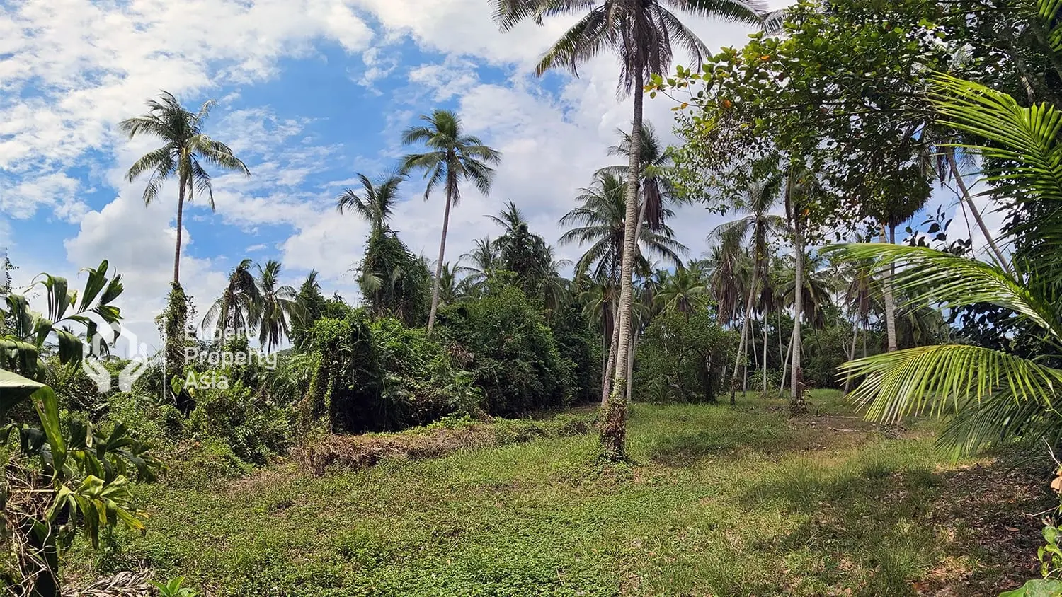 "Prime 2.4-Acre Land for Sale in Taling Ngam, Koh Samui – Exceptional Investment Opportunity!"