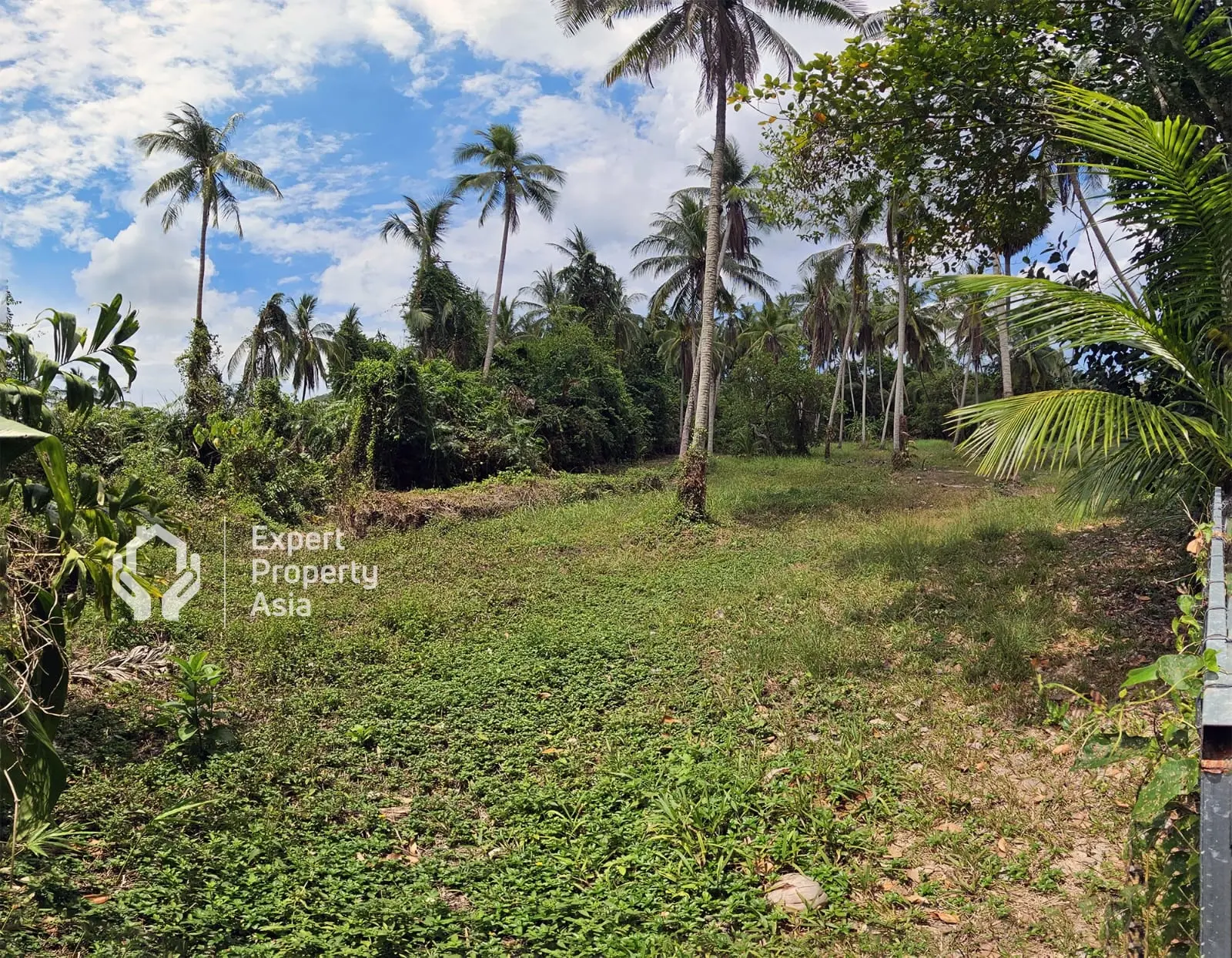 "Prime 2.4-Acre Land for Sale in Taling Ngam, Koh Samui – Exceptional Investment Opportunity!"