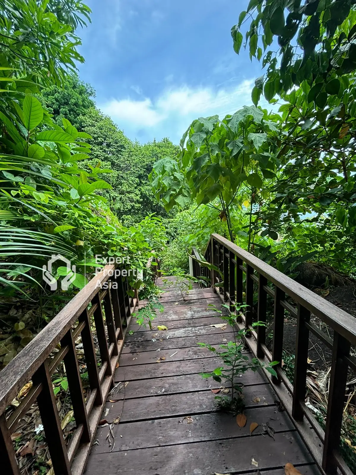 "Hôtel en Bord de Mer à Vendre à Chaweng Noi, Koh Samui – Lieu d'Événements, Villas et Rendements d'Investissement Solides"