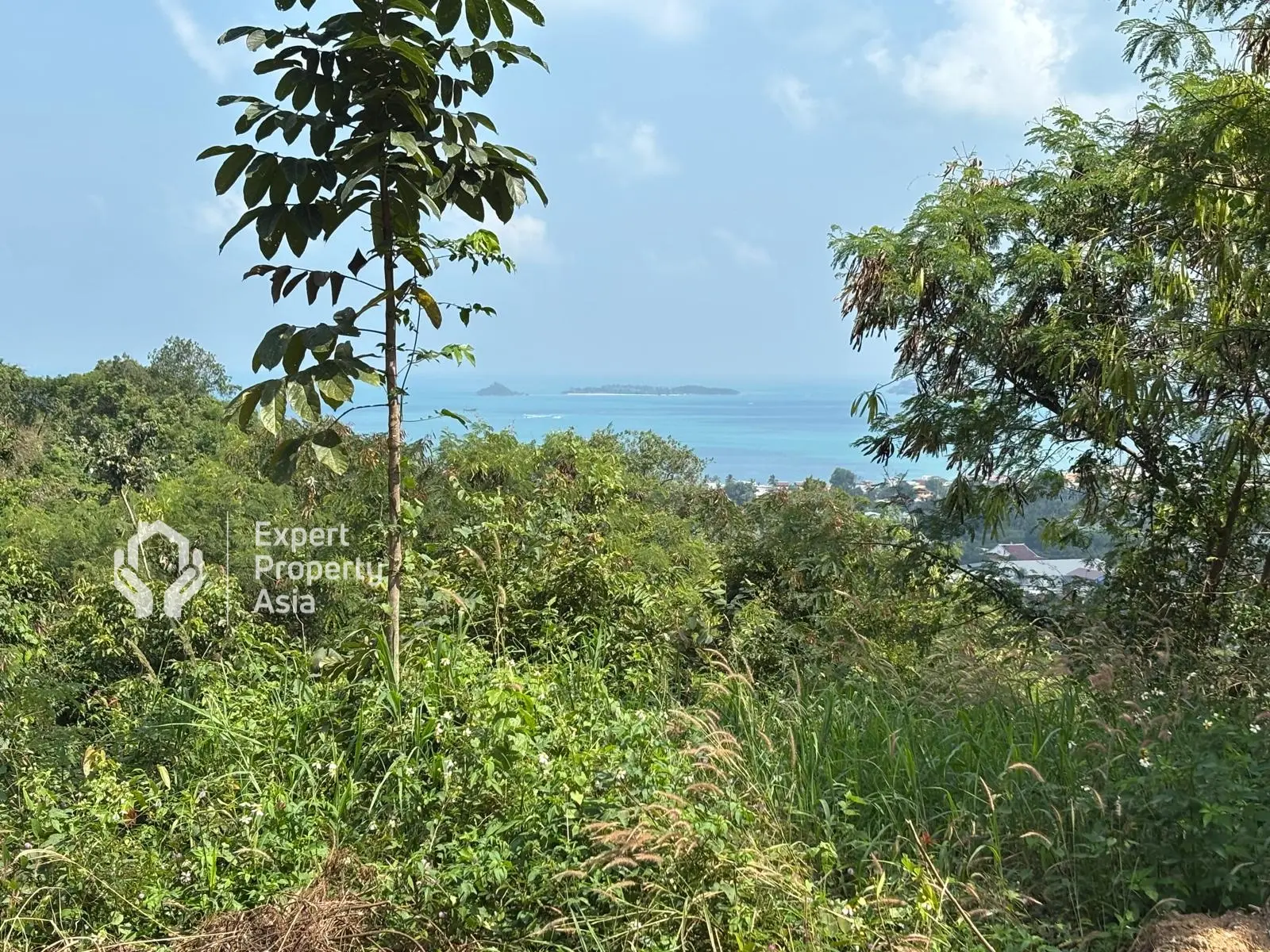 "Stunning 1 Rai Sea View Land for Sale – Exceptional Investment Opportunity in Koh Samui"