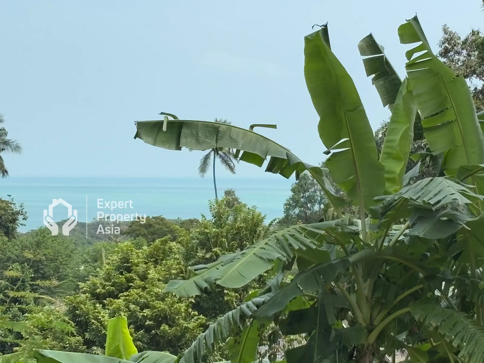 "Stunning 1 Rai Sea View Land for Sale – Exceptional Investment Opportunity in Koh Samui"