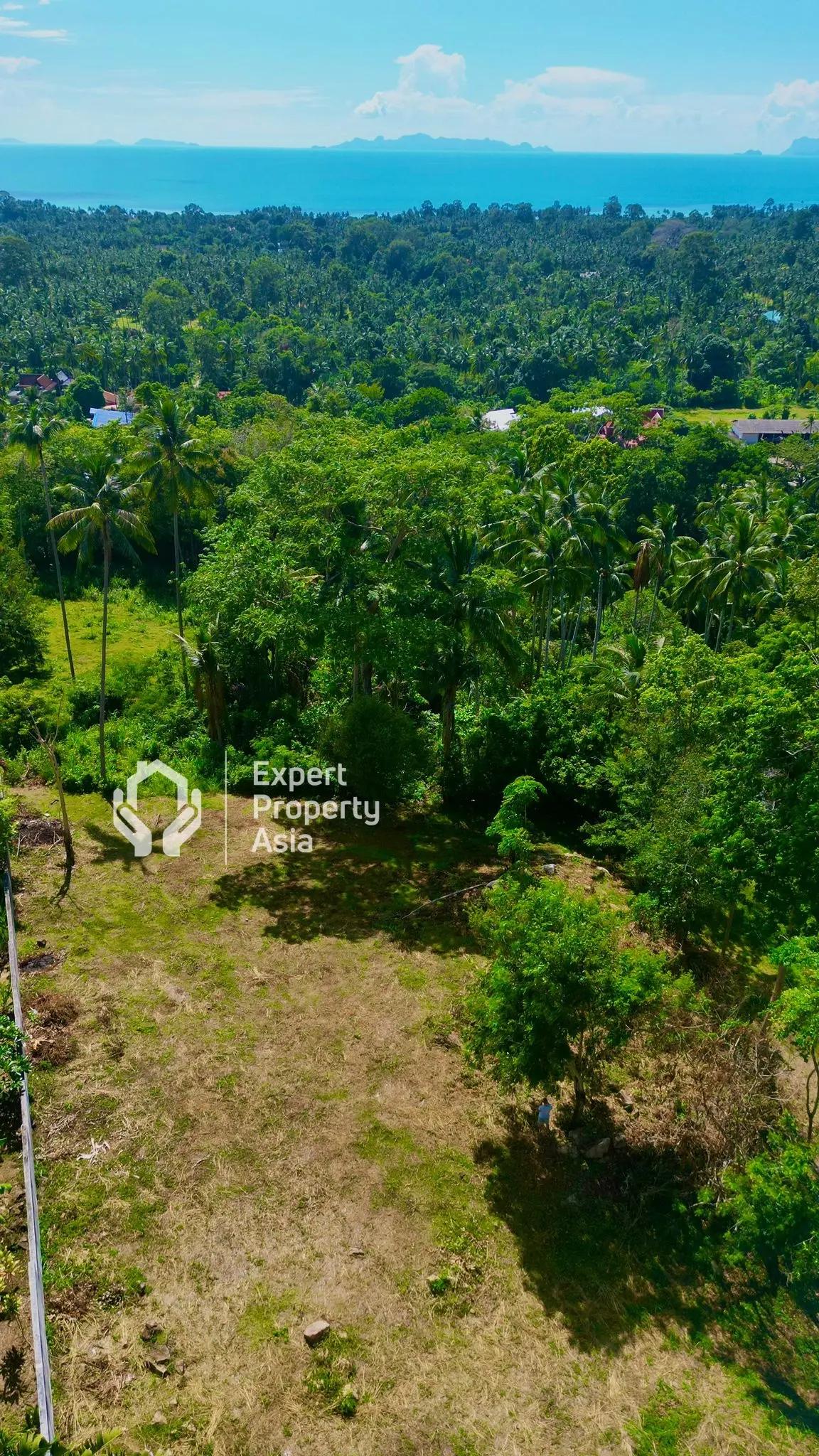 "Exceptional Sea View Land for Sale – 1830 m² with Chanote Title in Koh Samui"