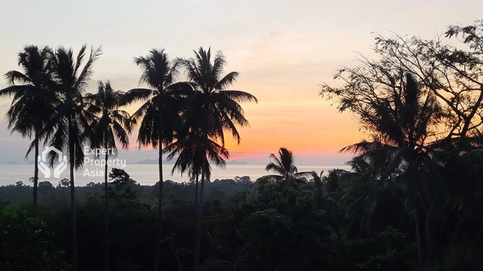 "Exceptional Sea View Land for Sale – 1830 m² with Chanote Title in Koh Samui"