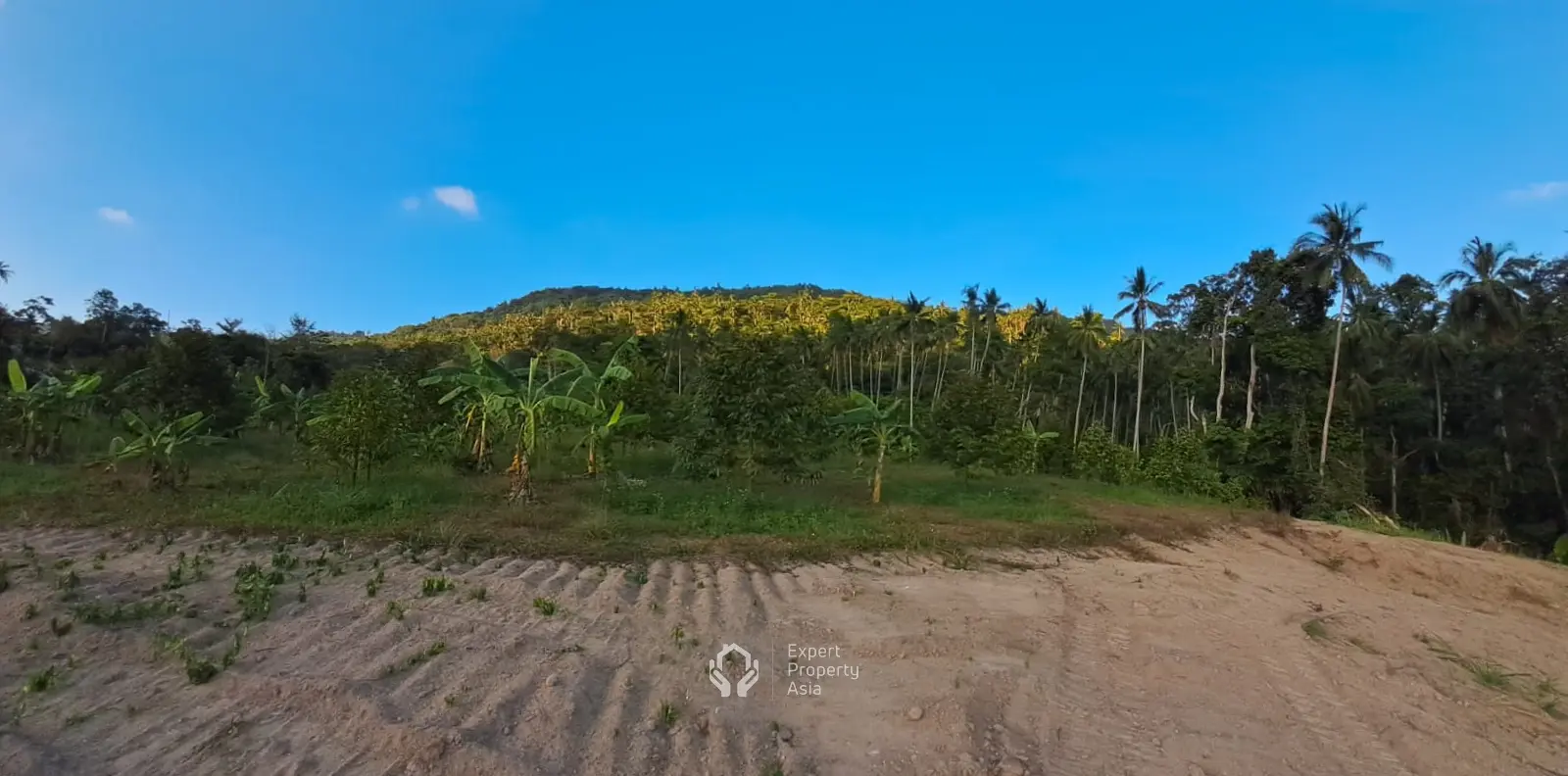 MODERN TROPICAL DESIGN STYLE VILLA WITH STUNNING MOUNTAIN VIEW IN LAMAI AREA OF KOH SAMUI