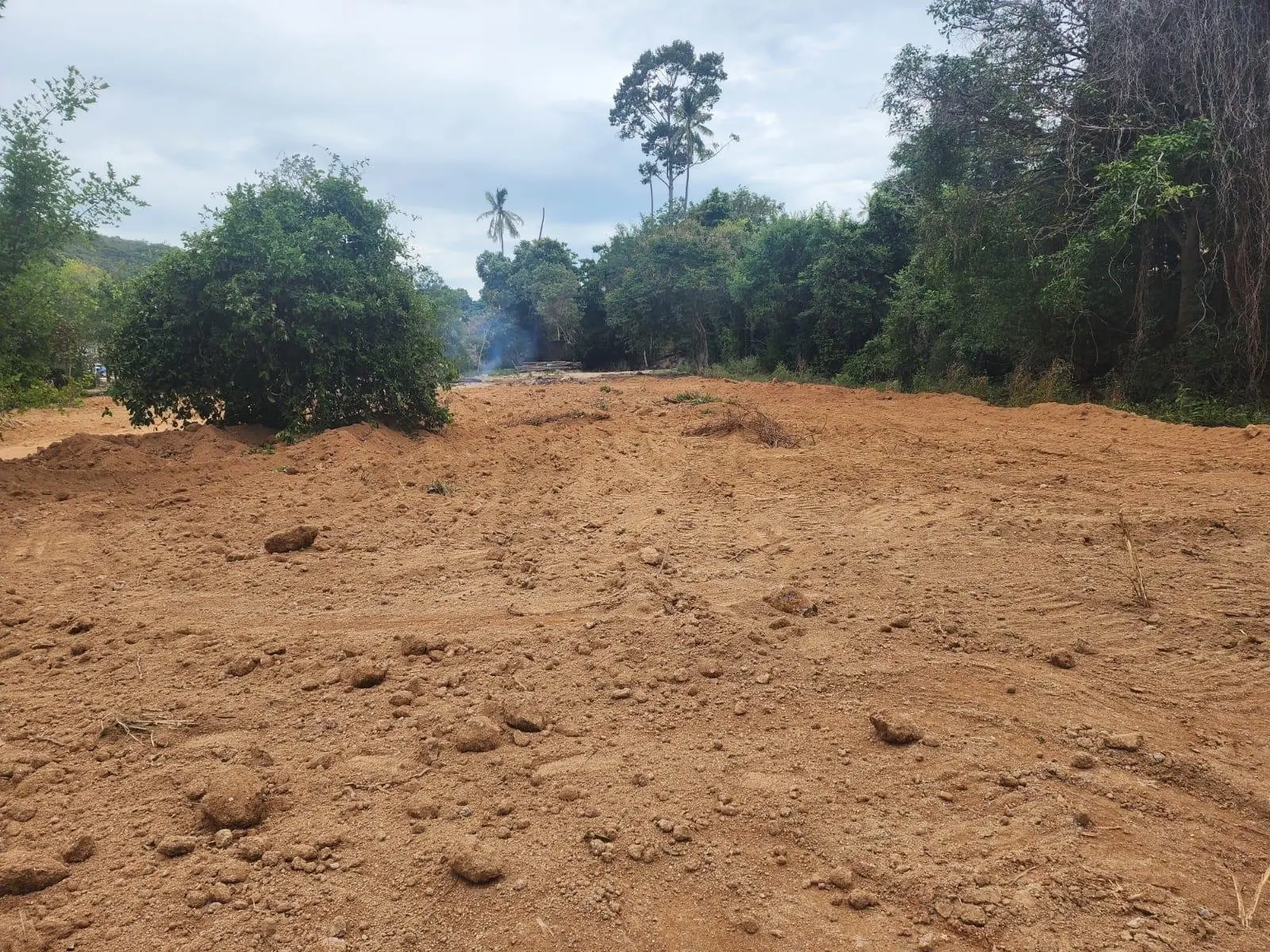 Terrains en Bord de Mer à Vendre : à 160 Mètres de la Superbe Plage de Bang Por à Koh Samui Koh Samui