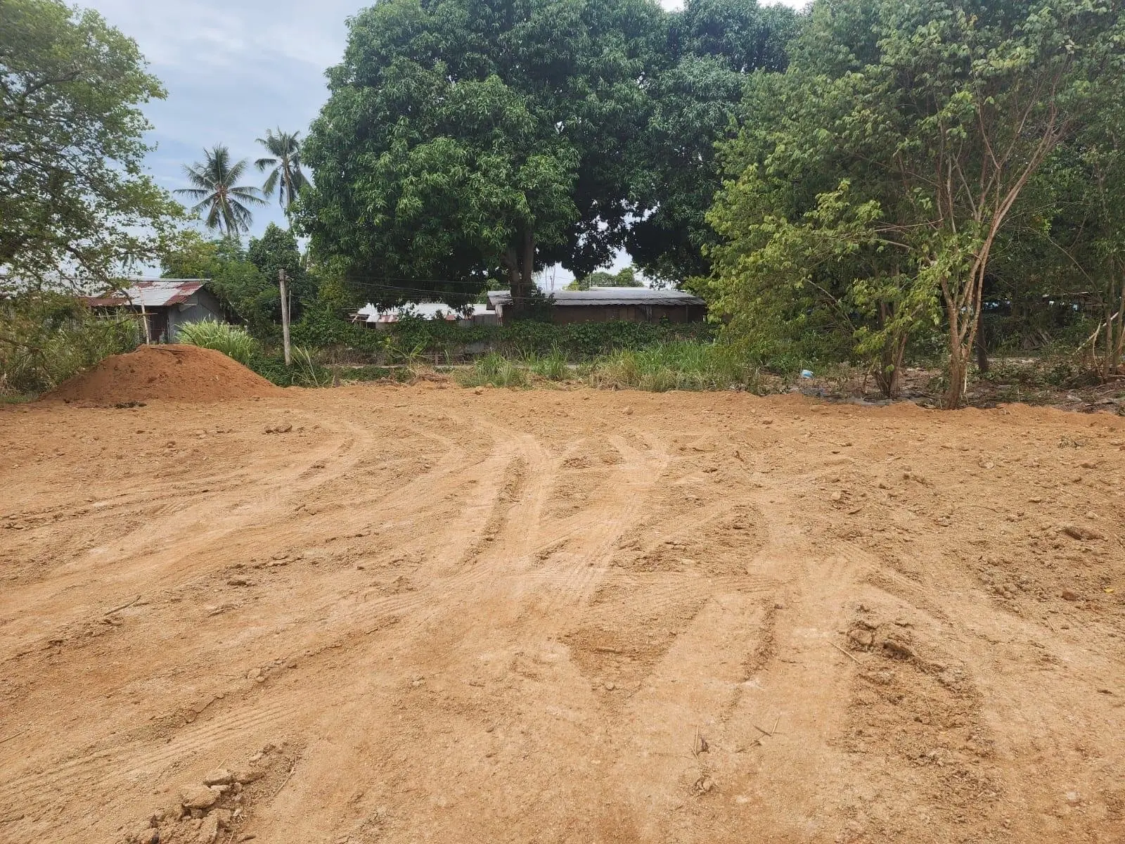 Terrains en Bord de Mer à Vendre : à 160 Mètres de la Superbe Plage de Bang Por à Koh Samui Koh Samui