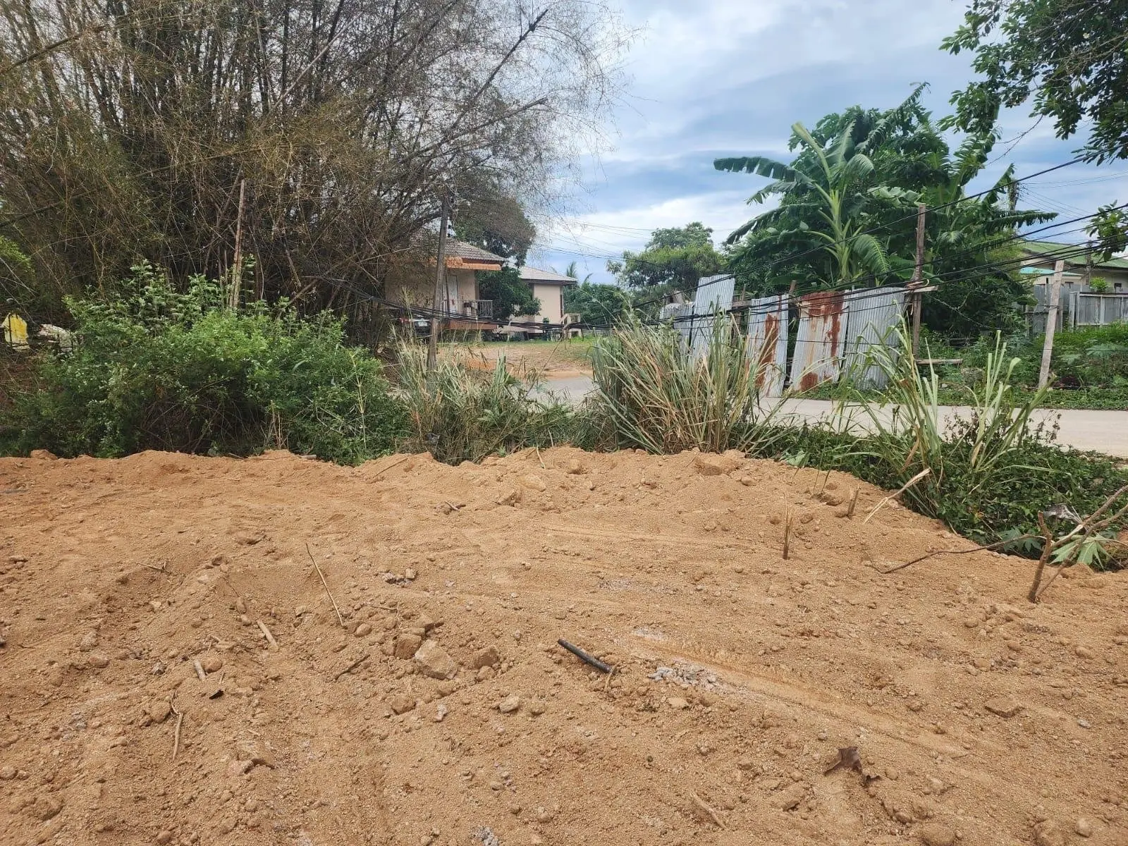 Terrains en Bord de Mer à Vendre : à 160 Mètres de la Superbe Plage de Bang Por à Koh Samui Koh Samui