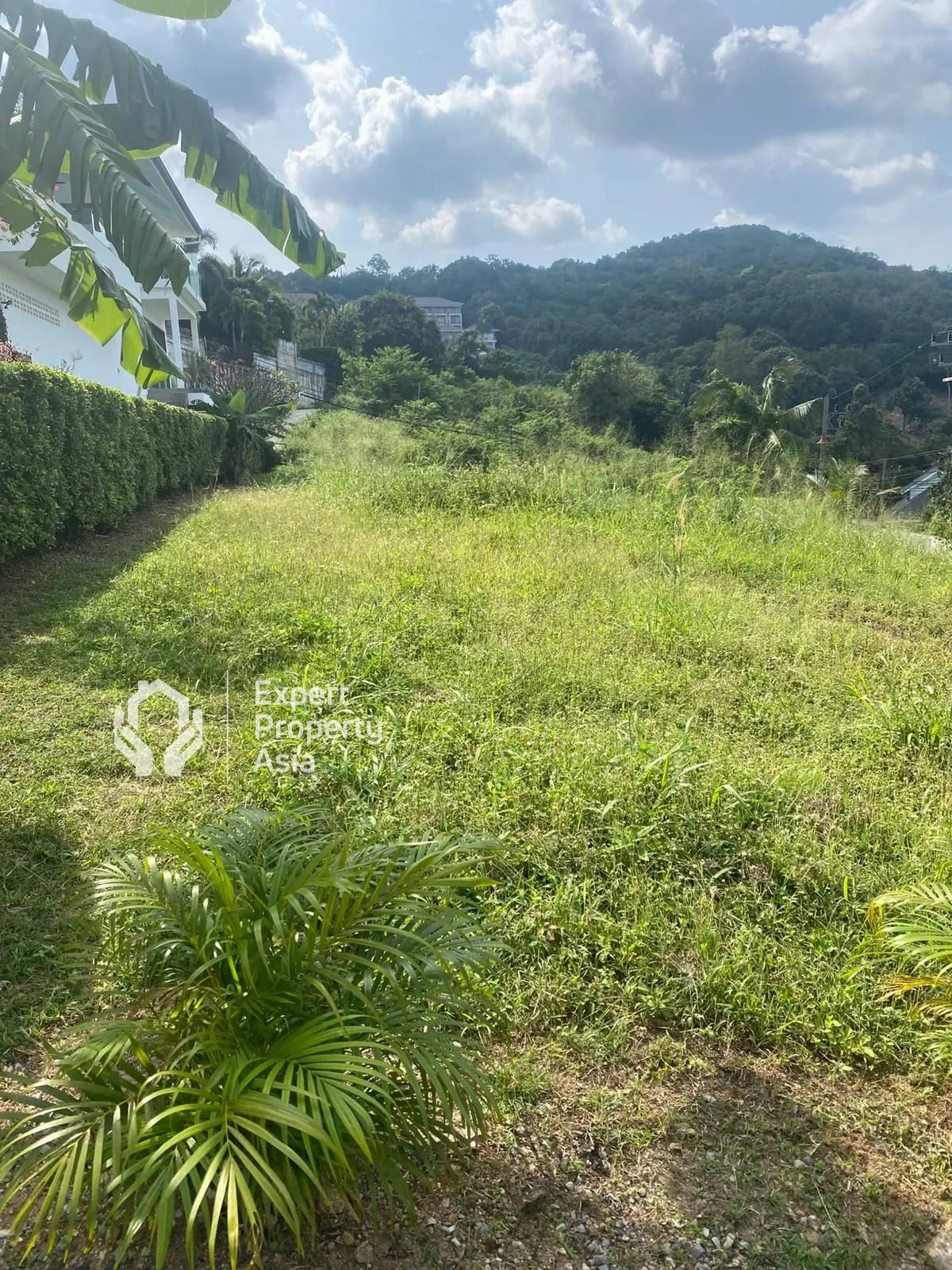 "Beautiful 800 m² Plot with Breathtaking Sea Views – Maenam, Koh Samui"