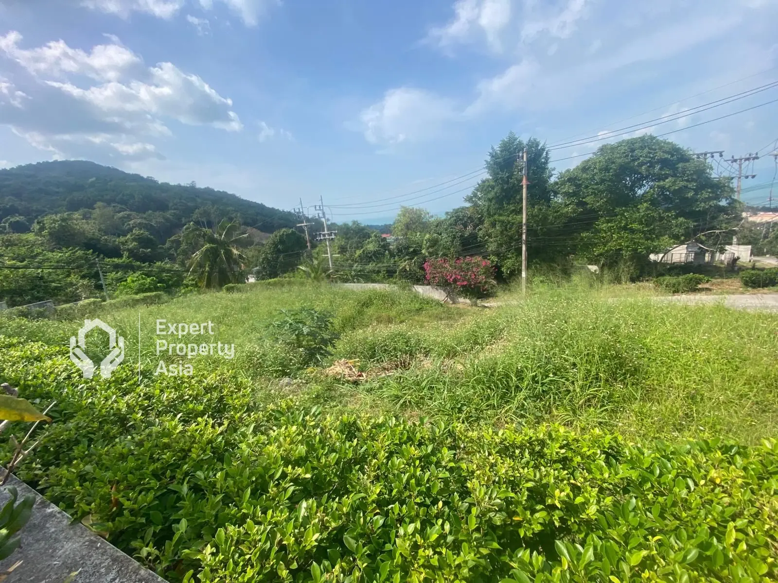 "Beautiful 800 m² Plot with Breathtaking Sea Views – Maenam, Koh Samui"