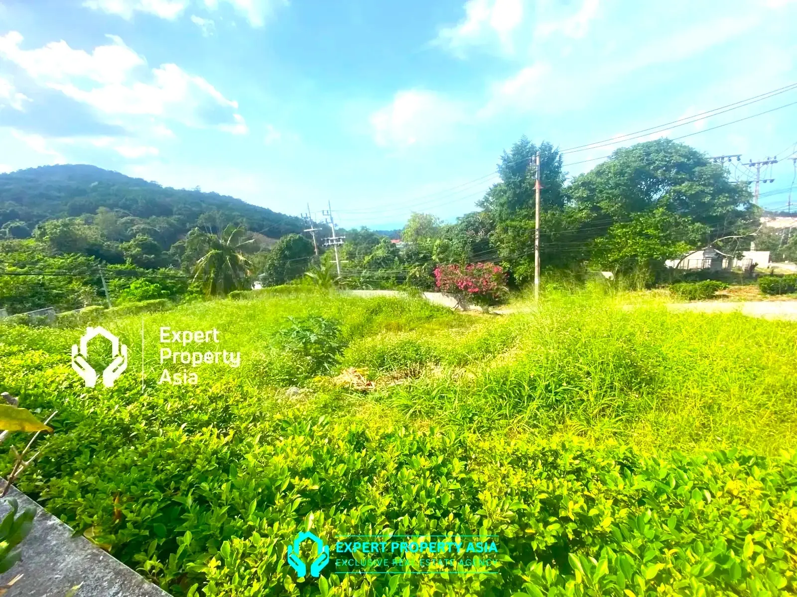 "Beautiful 800 m² Plot with Breathtaking Sea Views – Maenam, Koh Samui"