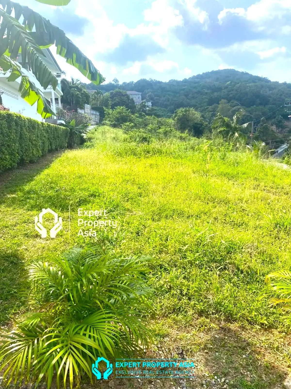 "Beautiful 800 m² Plot with Breathtaking Sea Views – Maenam, Koh Samui"