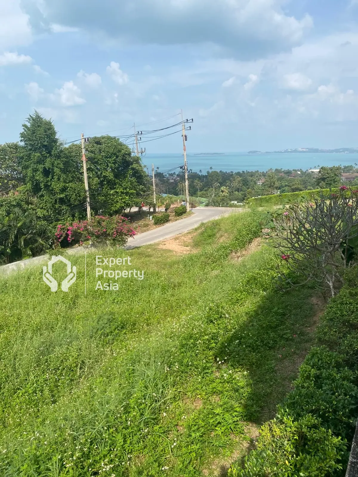 "Beautiful 800 m² Plot with Breathtaking Sea Views – Maenam, Koh Samui"