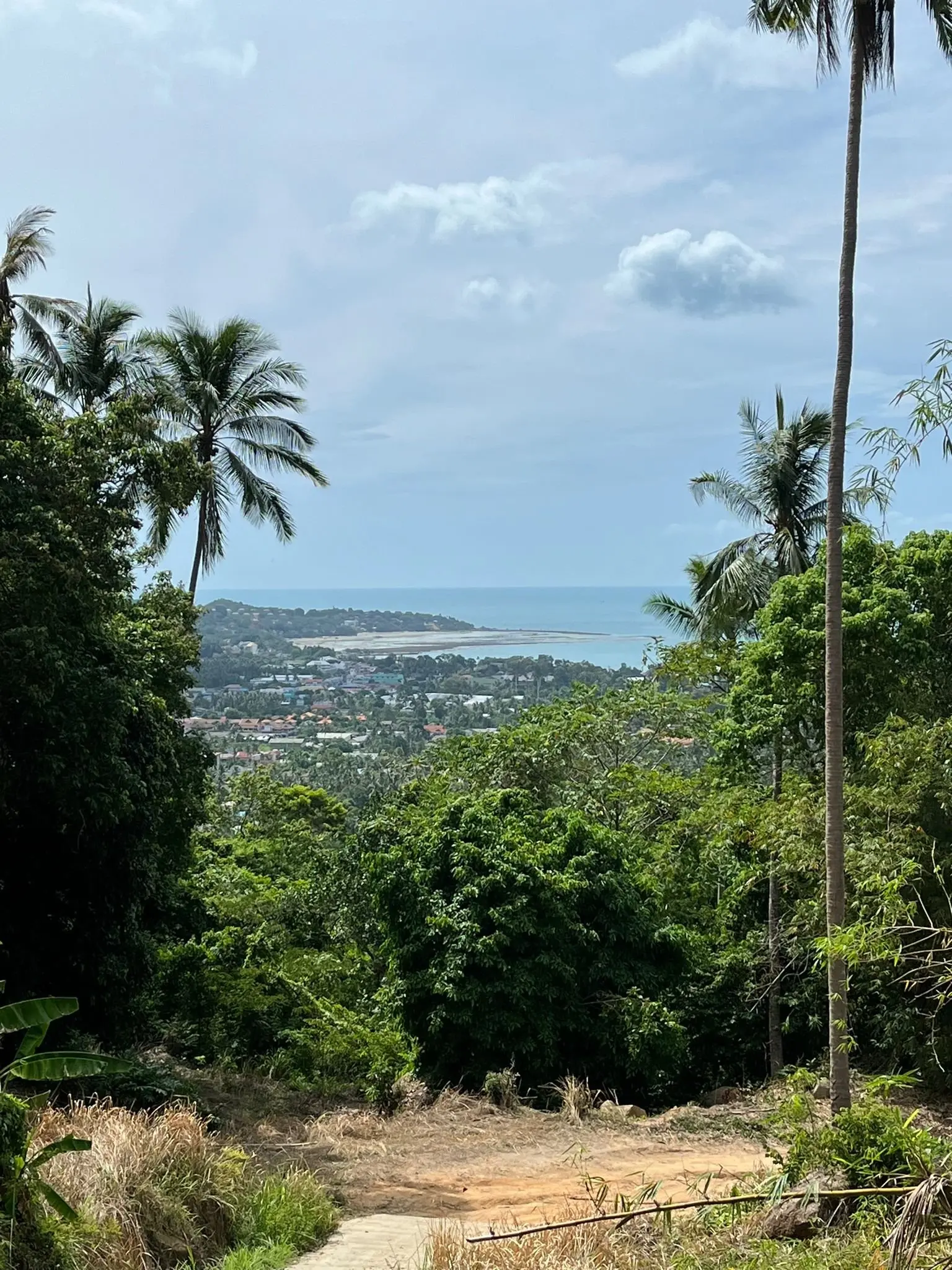 Serénité Vue Mer : Terrain de premier choix à Lamai, Koh Samui