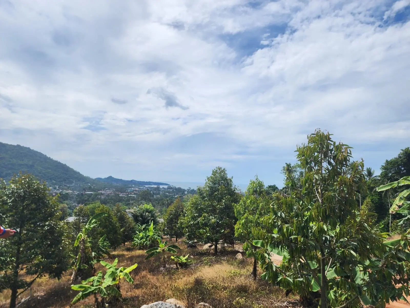 Serénité Vue Mer : Terrain de premier choix à Lamai, Koh Samui