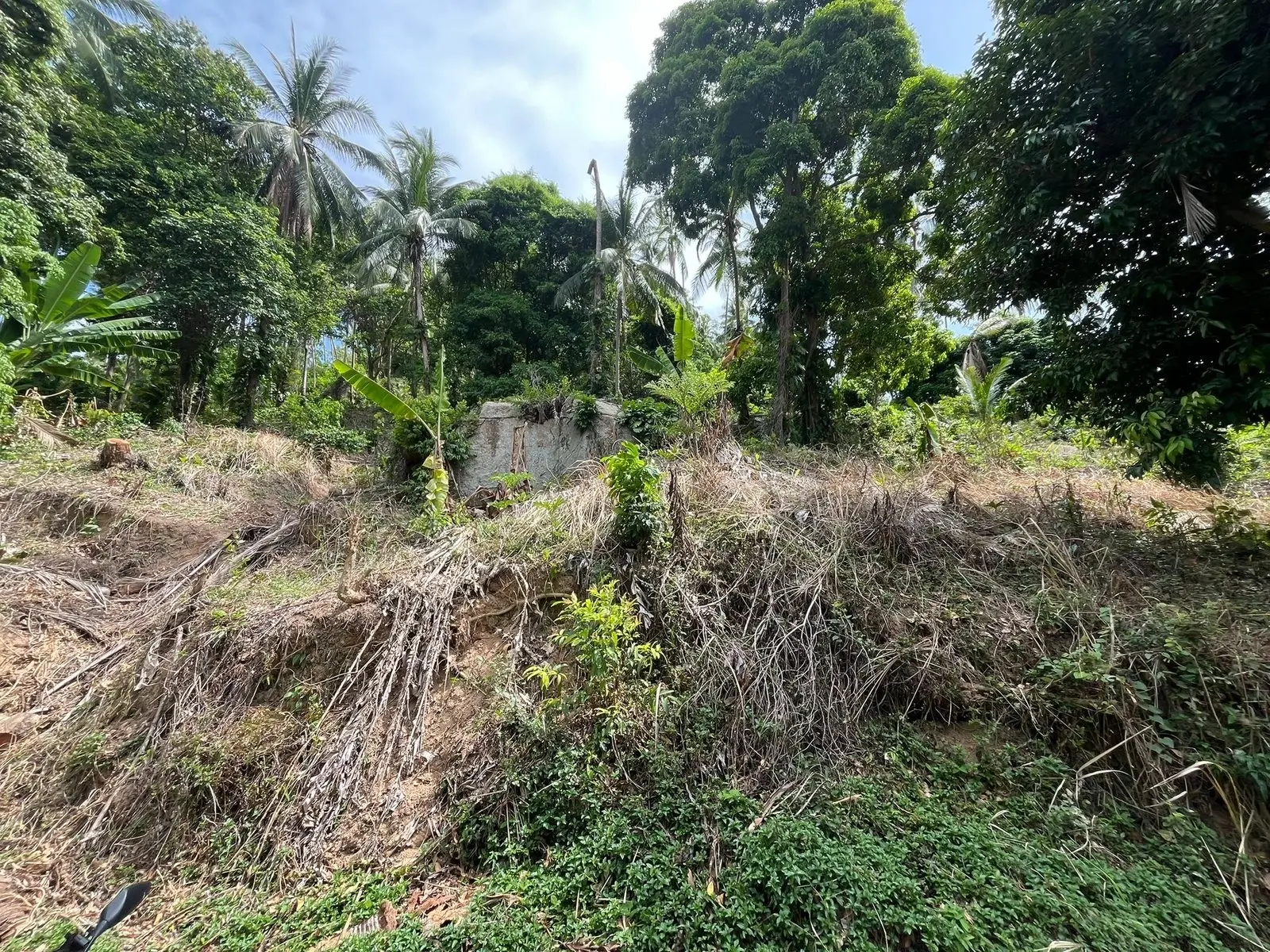 "Seaview Serenity: Prime Land in Lamai, Koh Samui"