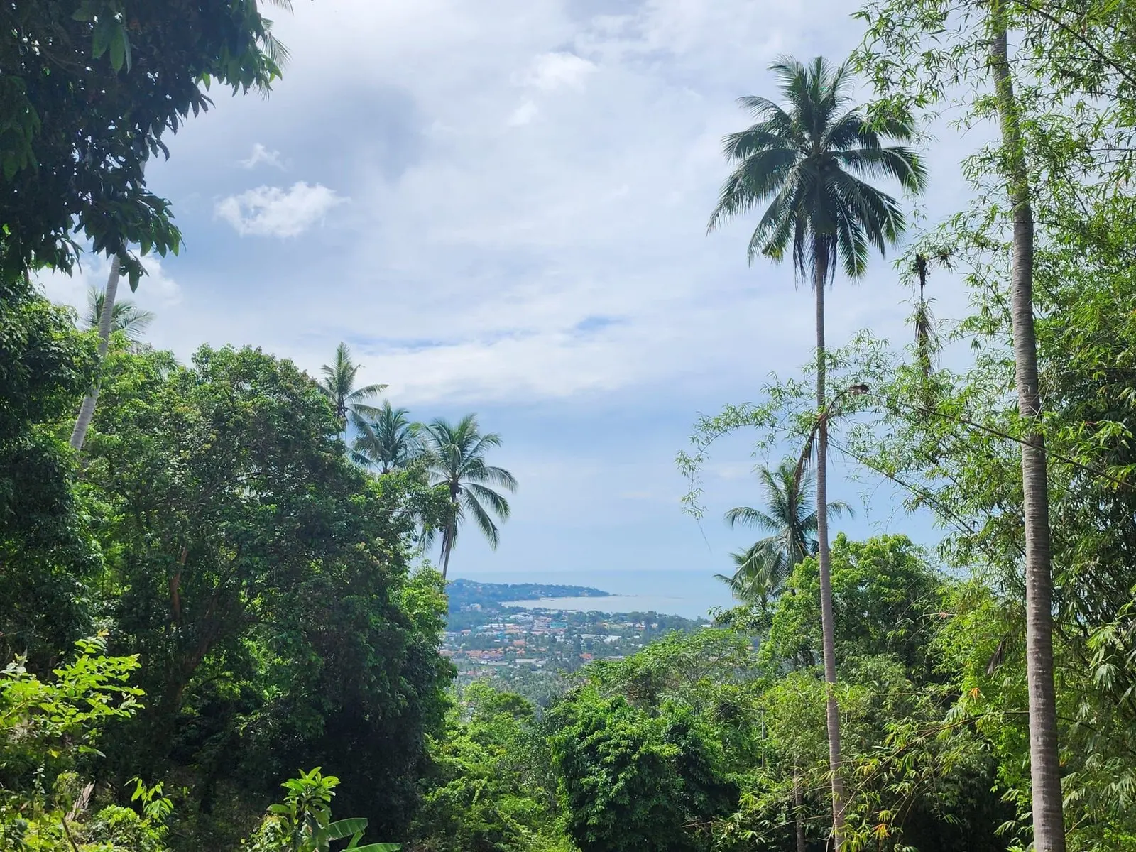 "Seaview Serenity: Prime Land in Lamai, Koh Samui"