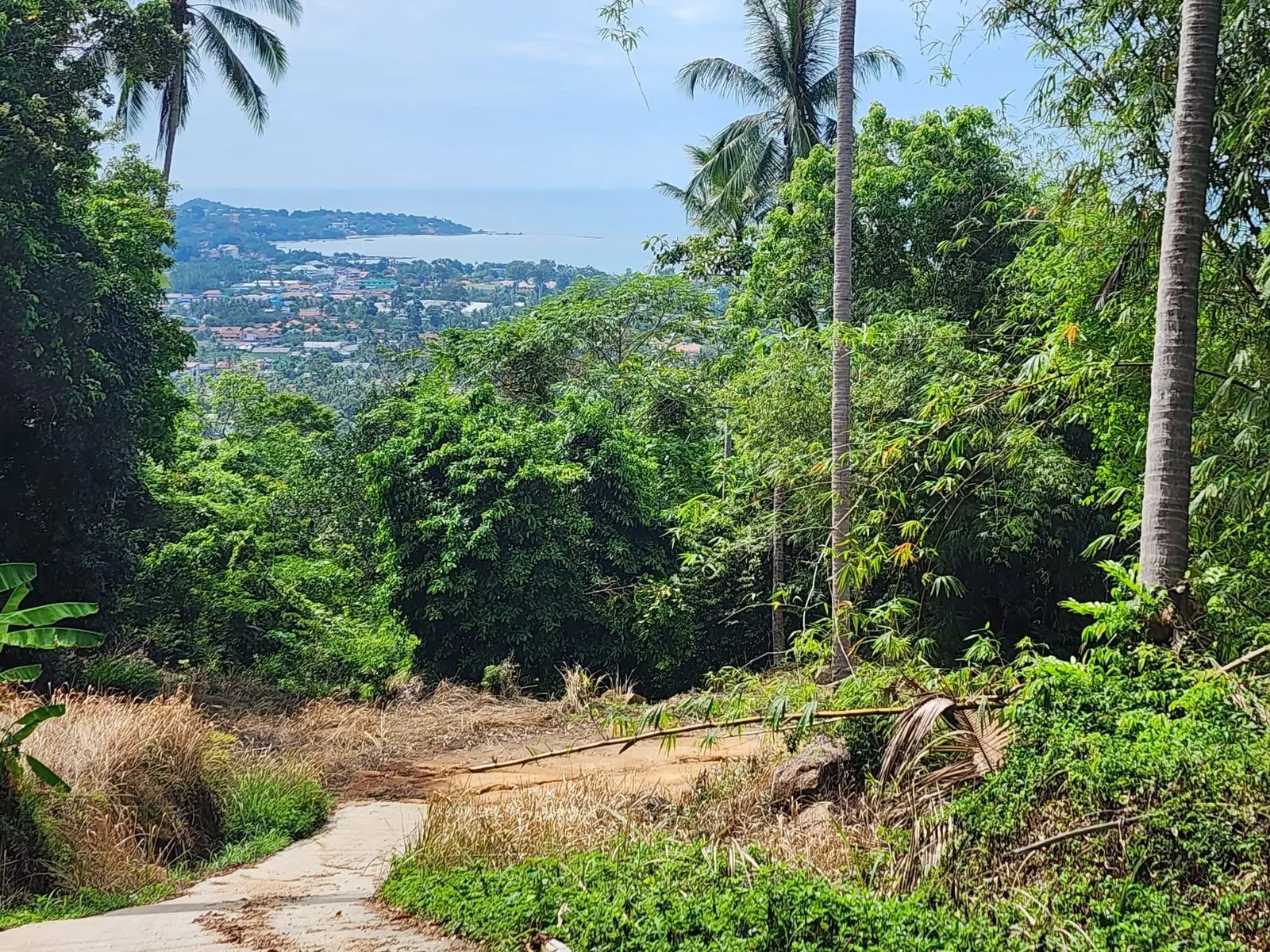 "Seaview Serenity: Prime Land in Lamai, Koh Samui"