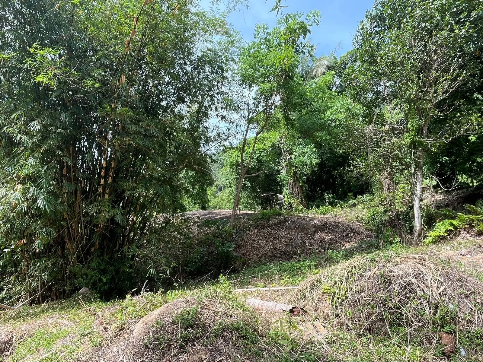 Serénité Vue Mer : Terrain de premier choix à Lamai, Koh Samui