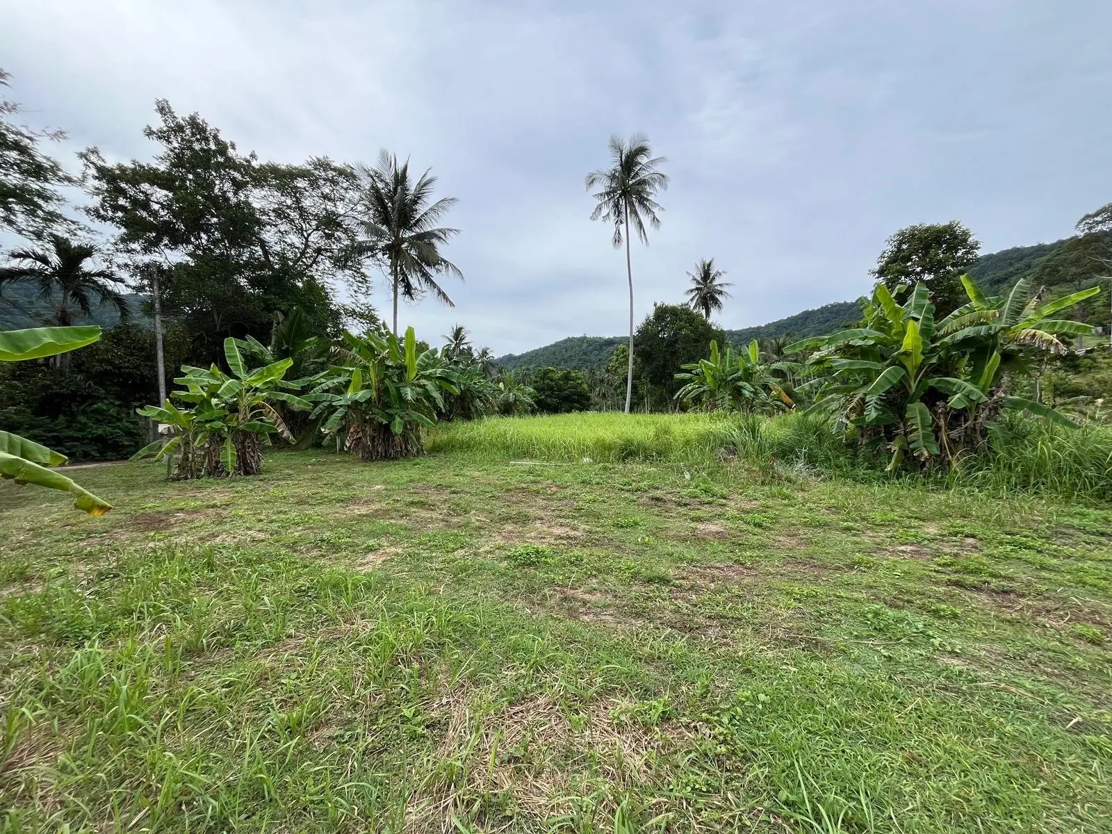 Terrain de 500 mètres carrés de premier choix à Lamai Koh Samui 'VENTE