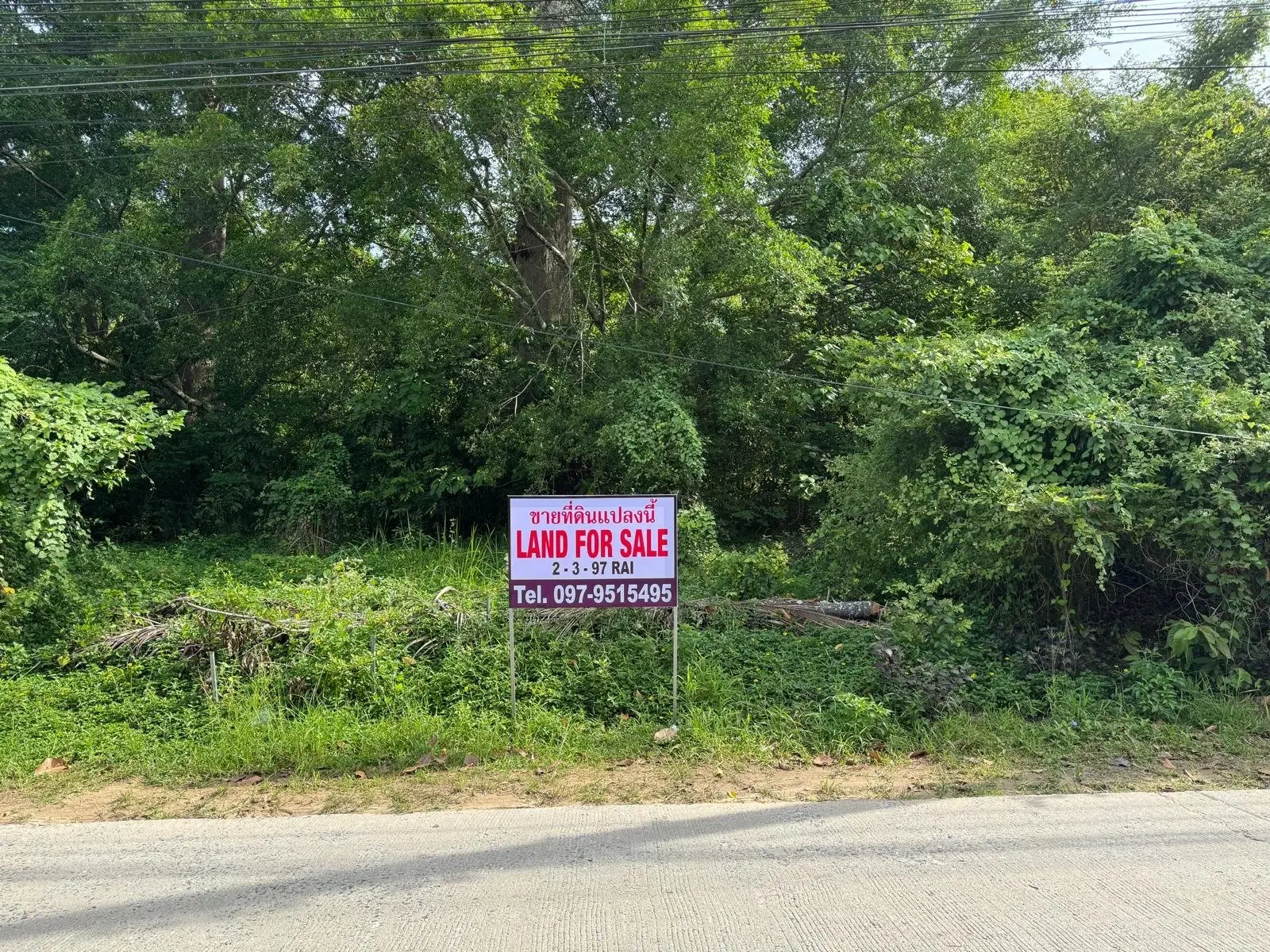 Perfect Flat Land for Investment in Lamai