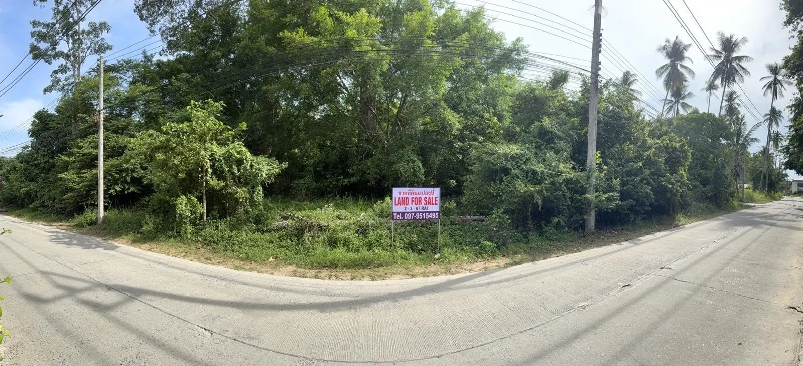 Perfect Flat Land for Investment in Lamai