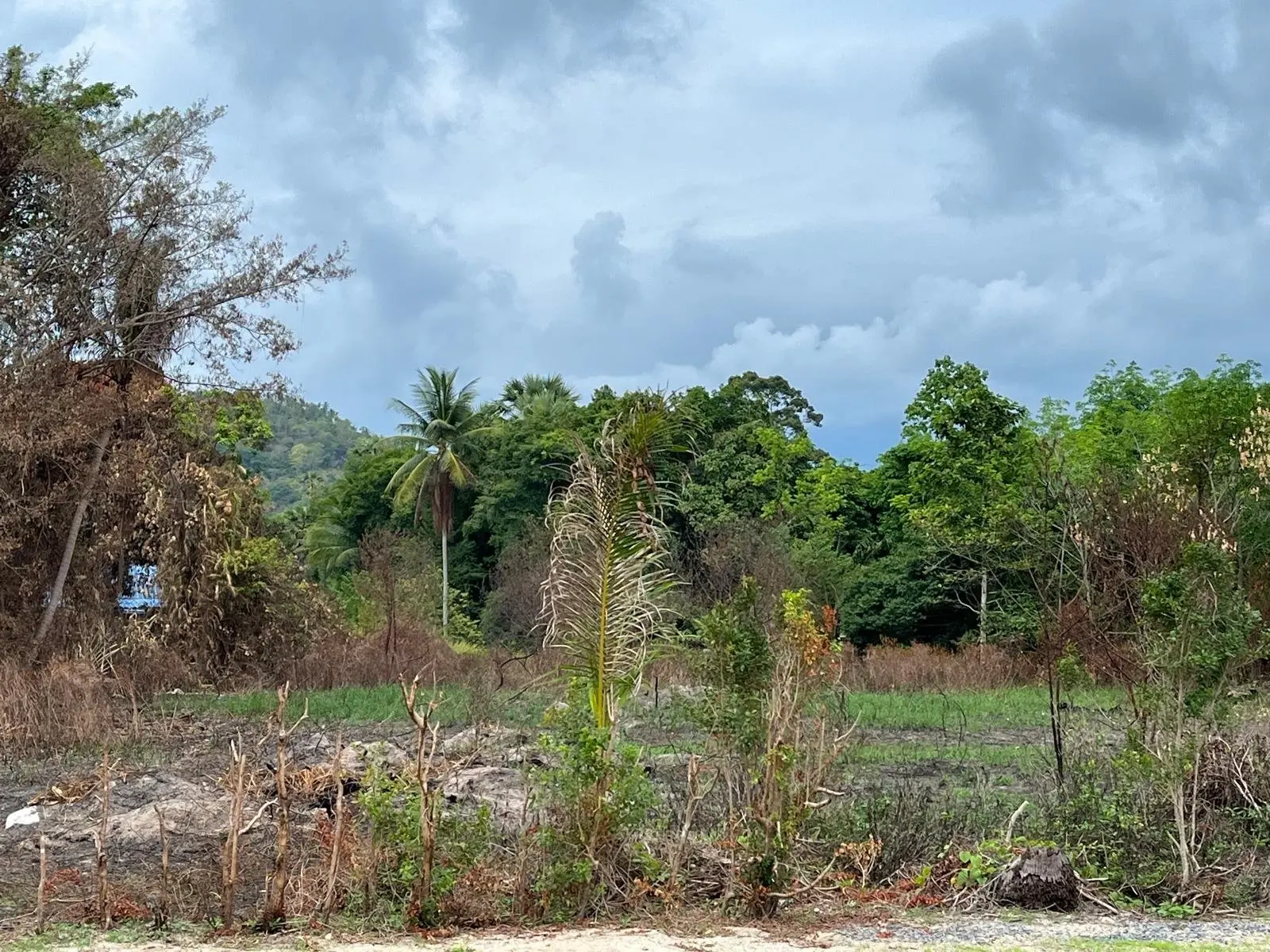 Paradis expansif : parcelle de terrain de 1 rai, 3 ngan et 25 wah à Namuang, Koh Samui