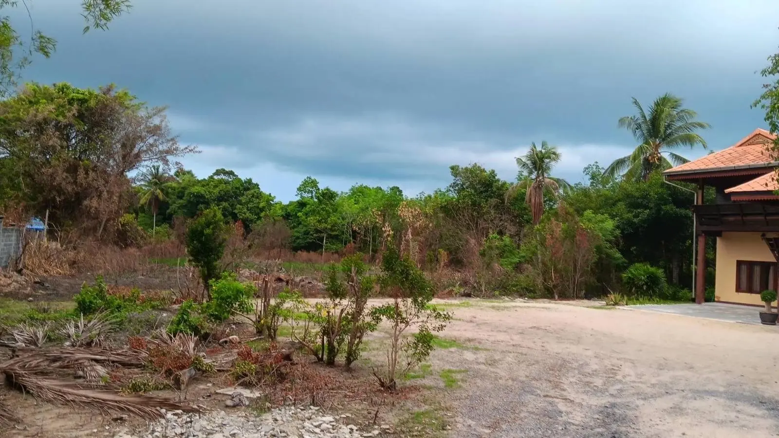 "Expansive Paradise: 1 Rai, 3 Ngan, and 25 Wah Land Parcel in Namuang, Koh Samui"