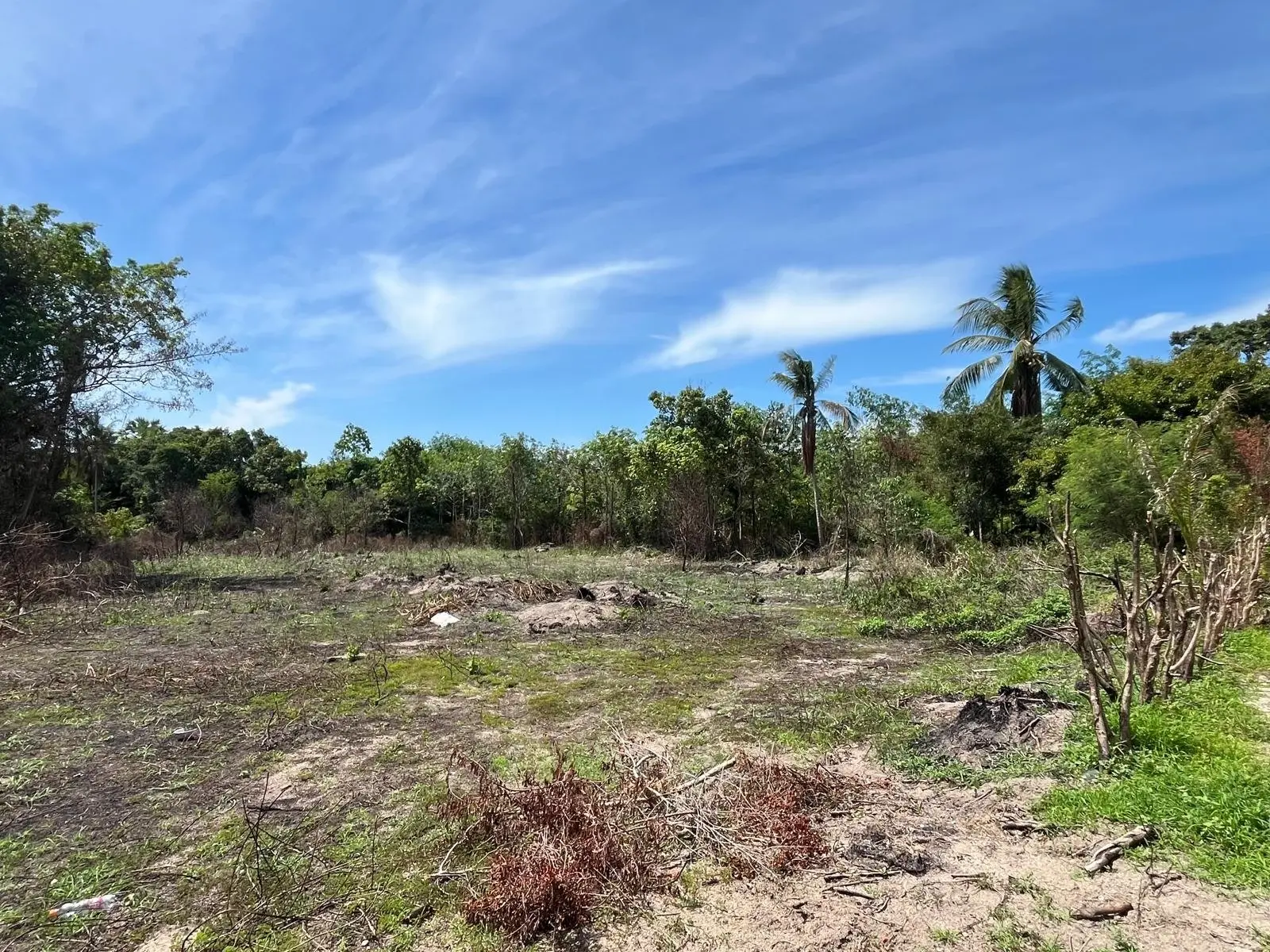 Paradis expansif : parcelle de terrain de 1 rai, 3 ngan et 25 wah à Namuang, Koh Samui