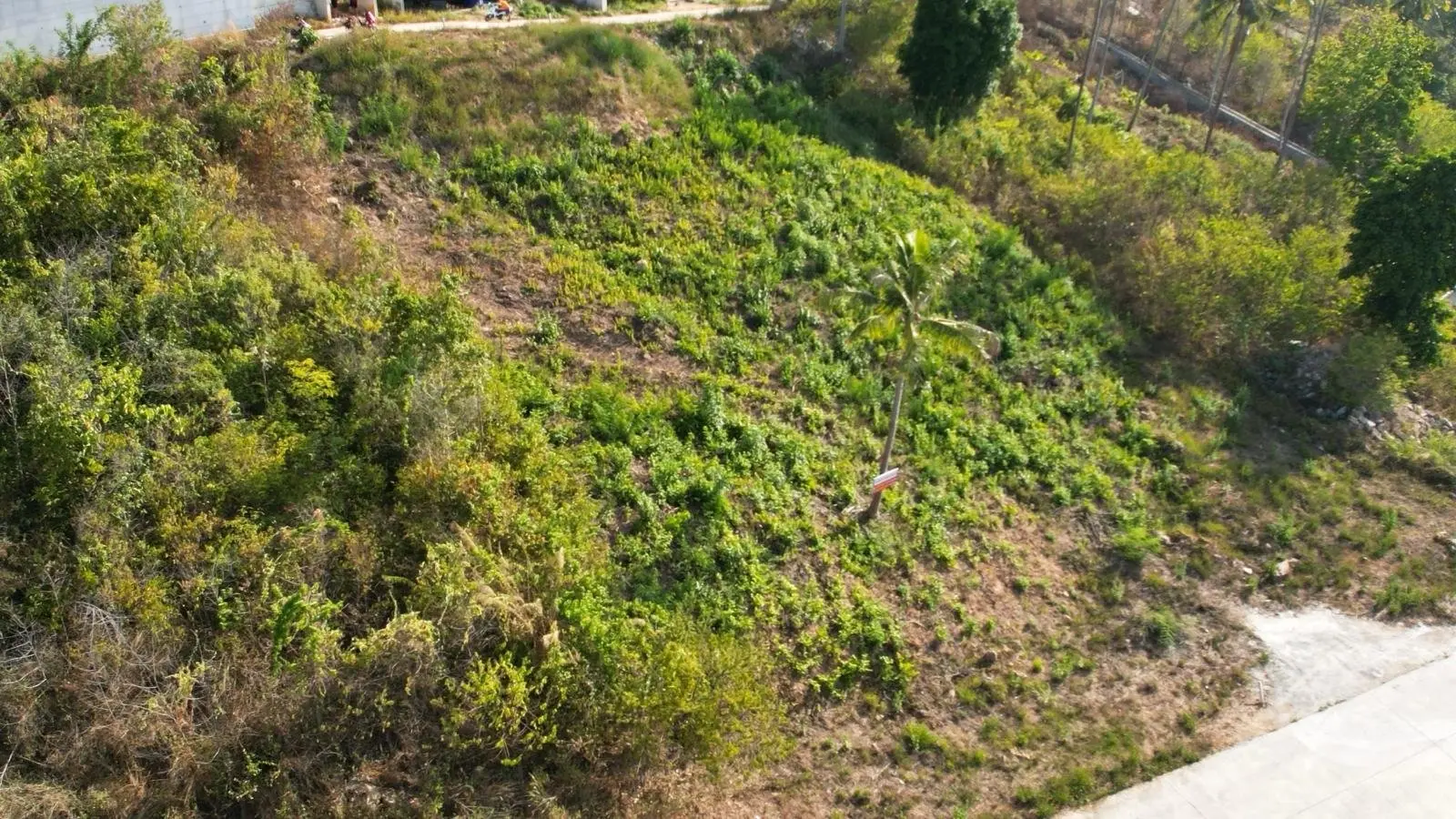 Découvrez la tranquillité de Seaview : terrain prime de 800 m² à Bo Phut, Koh Samui