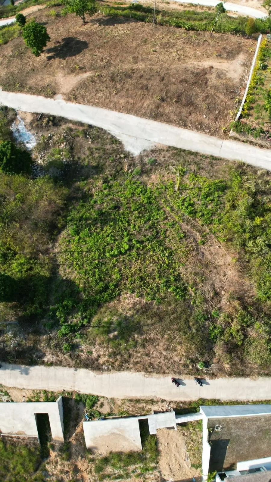 发现海景宁静：波普特，苏梅岛优质800平米土地出售