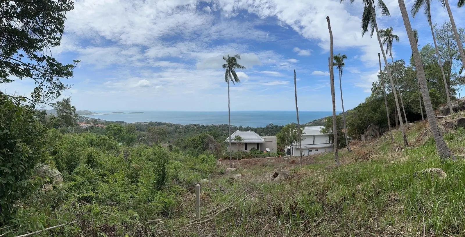 Amazing 4 Rai Sea View Land for Sale [Chaweng Noi]