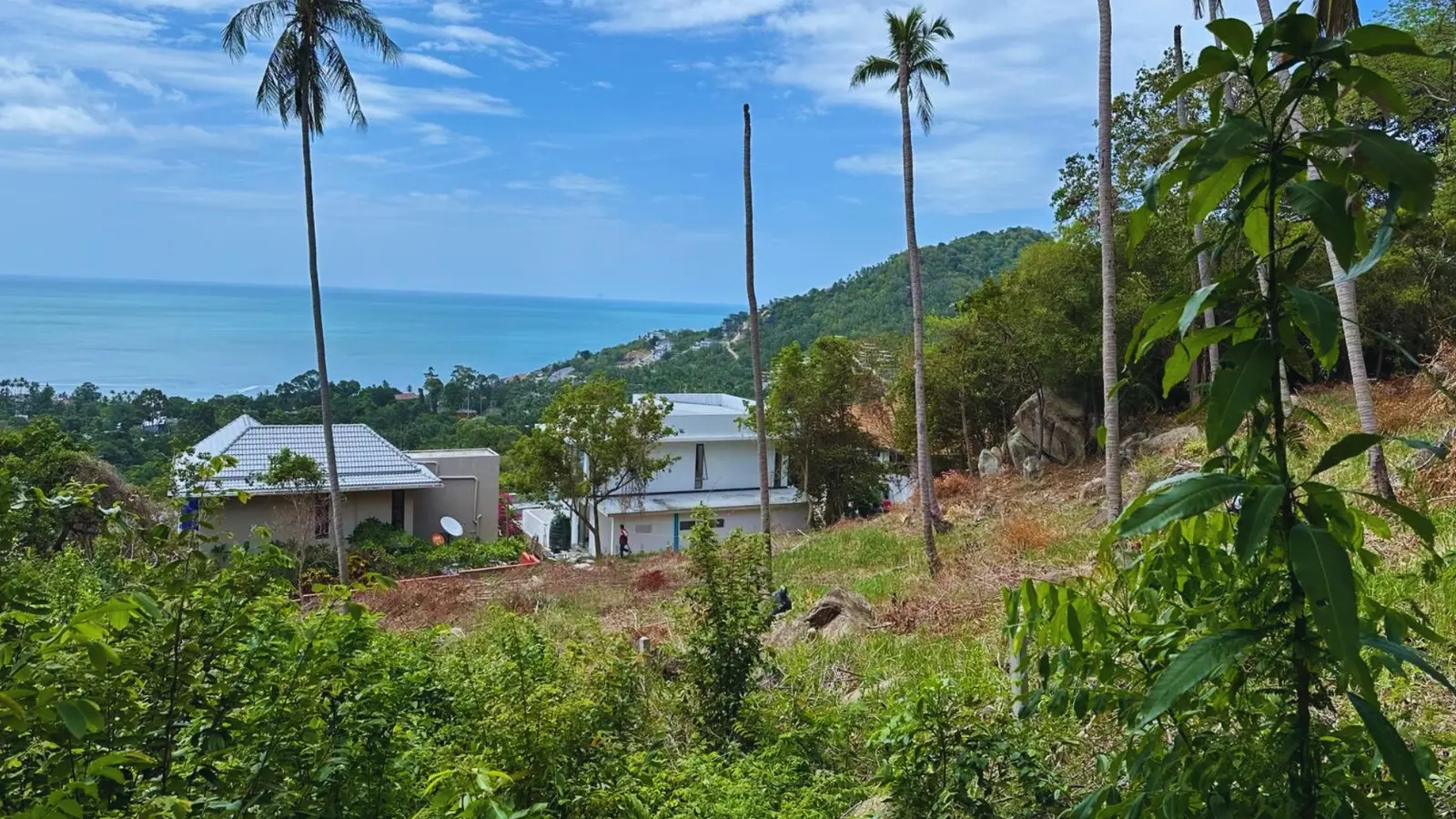 Amazing 4 Rai Sea View Land for Sale [Chaweng Noi]